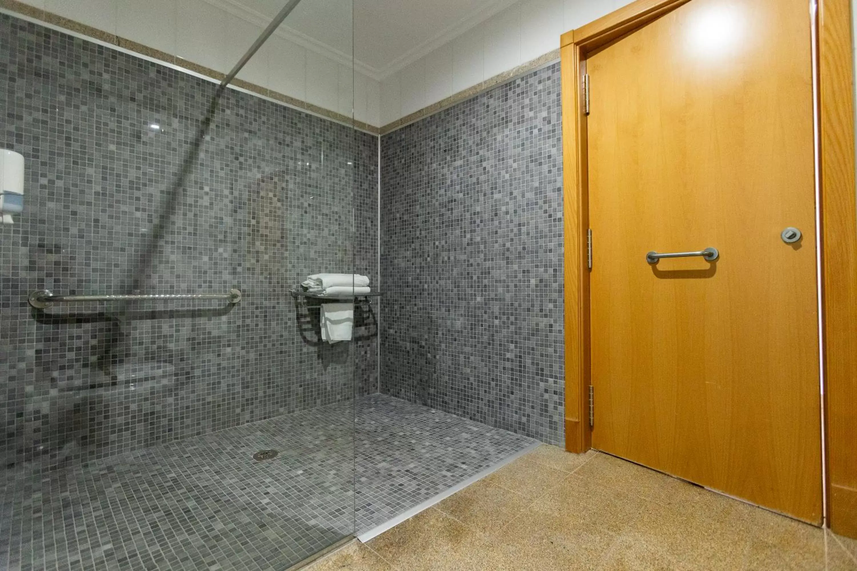 Facility for disabled guests, Bathroom in Hotel Alfonso I
