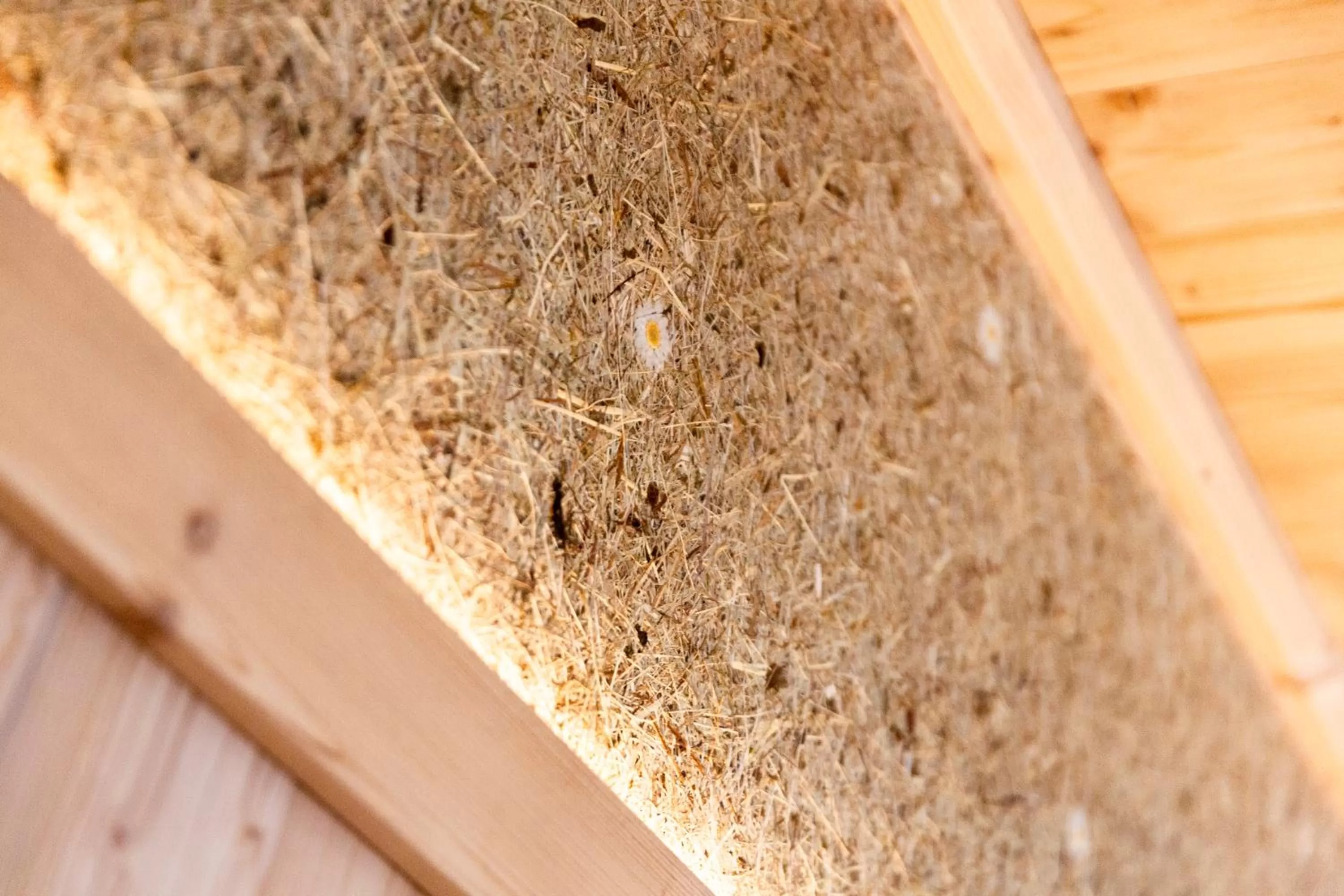 Sauna in Stadthotel Lichtenfels