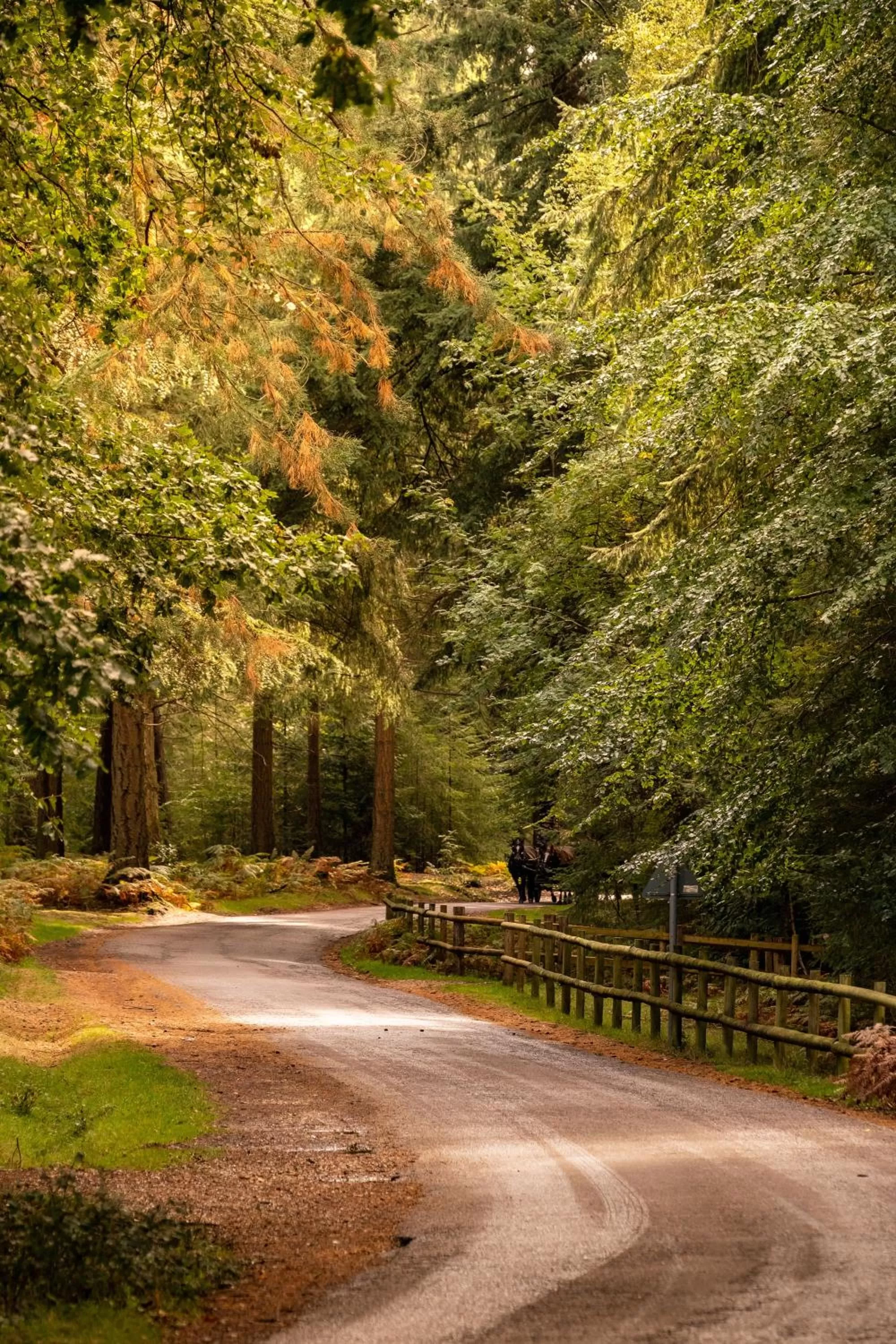 Day in New Park Manor Hotel