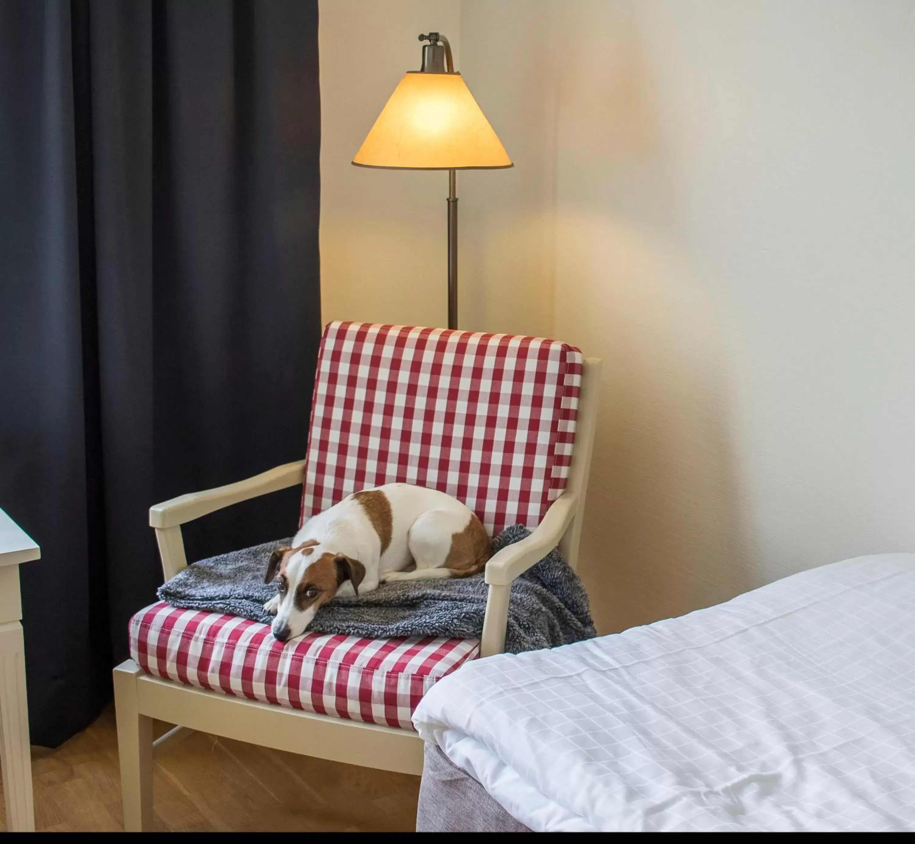 Animals, Bed in Hotell Frykenstrand; Sure Hotel Collection by Best Western