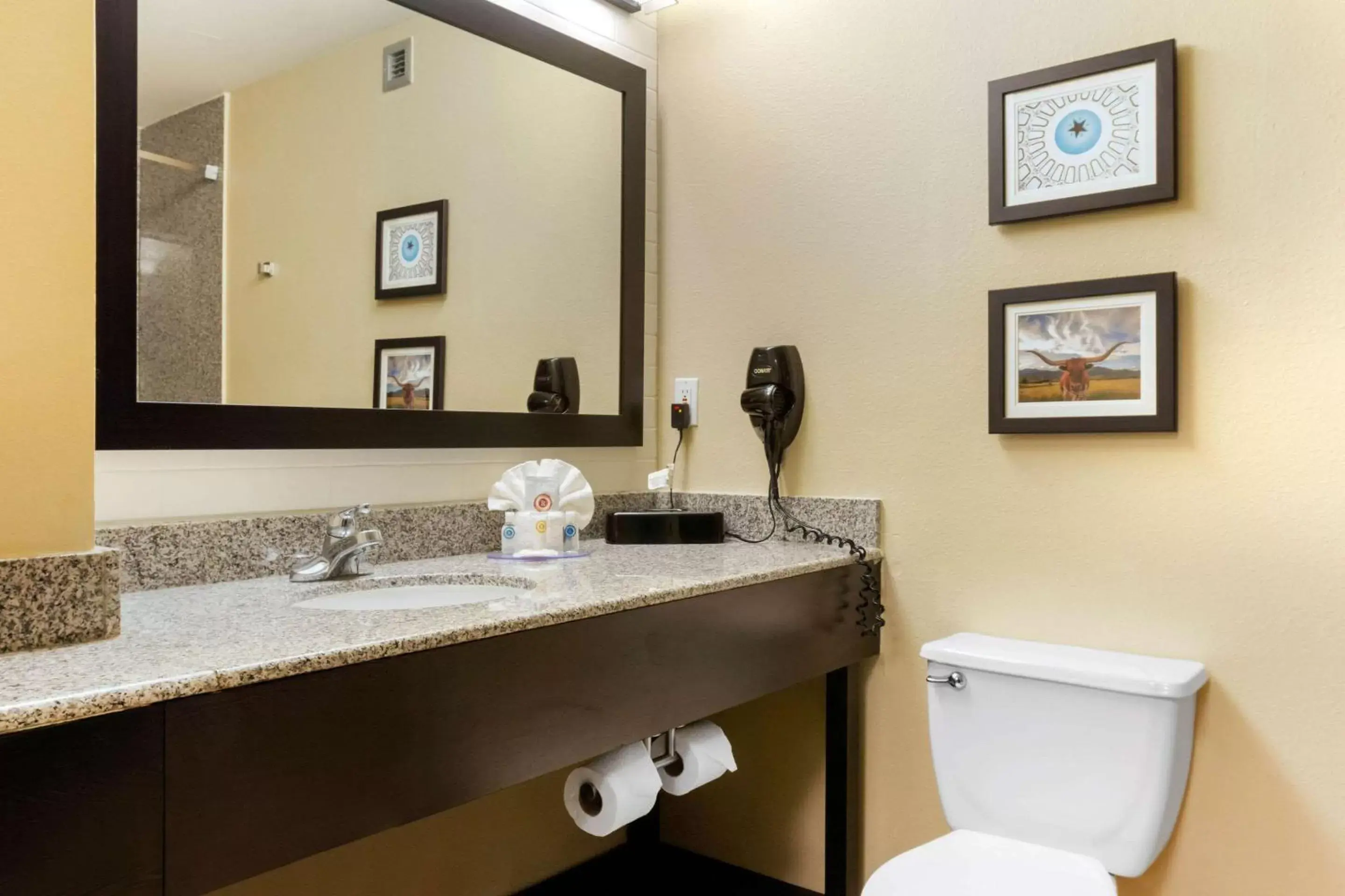 Bathroom in Comfort Inn & Suites Amarillo