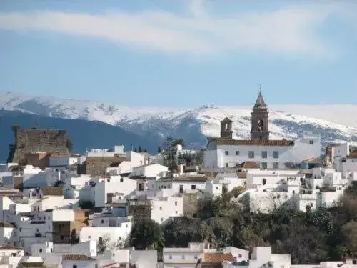 Area and facilities in Hotel San Jorge