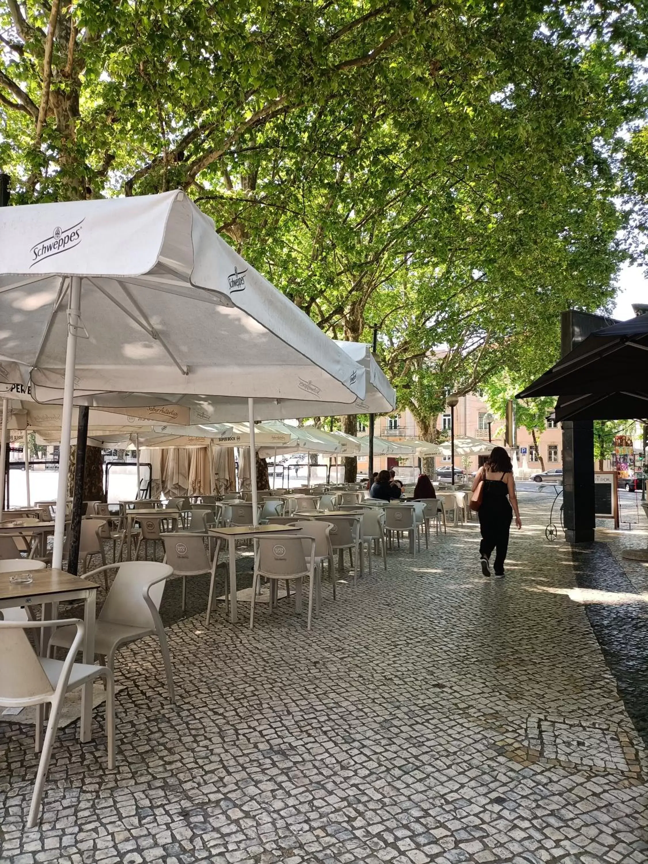 Restaurant/Places to Eat in Coimbra Monumentais B&B