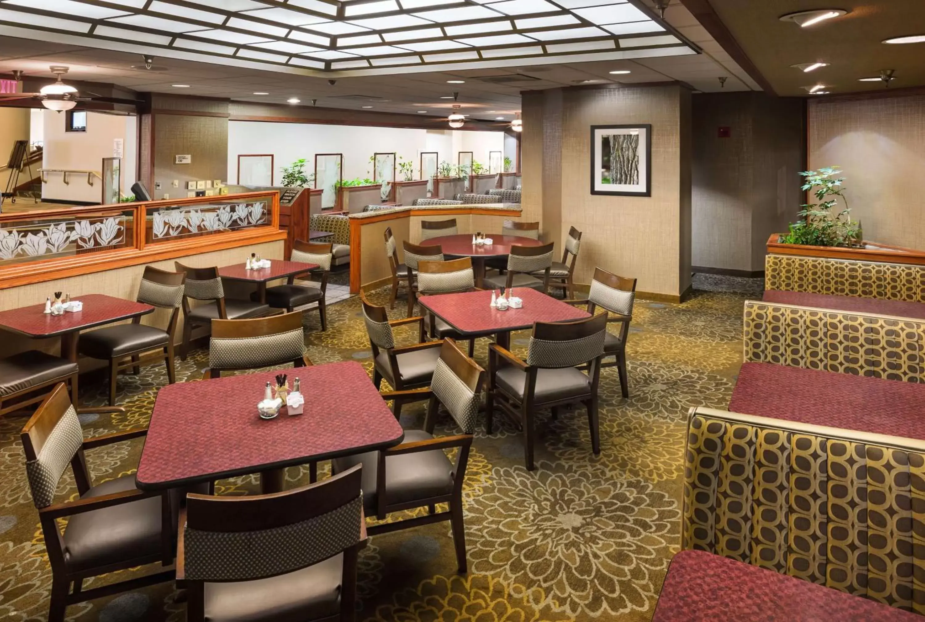 Lounge or bar, Restaurant/Places to Eat in Radisson Hotel Bismarck