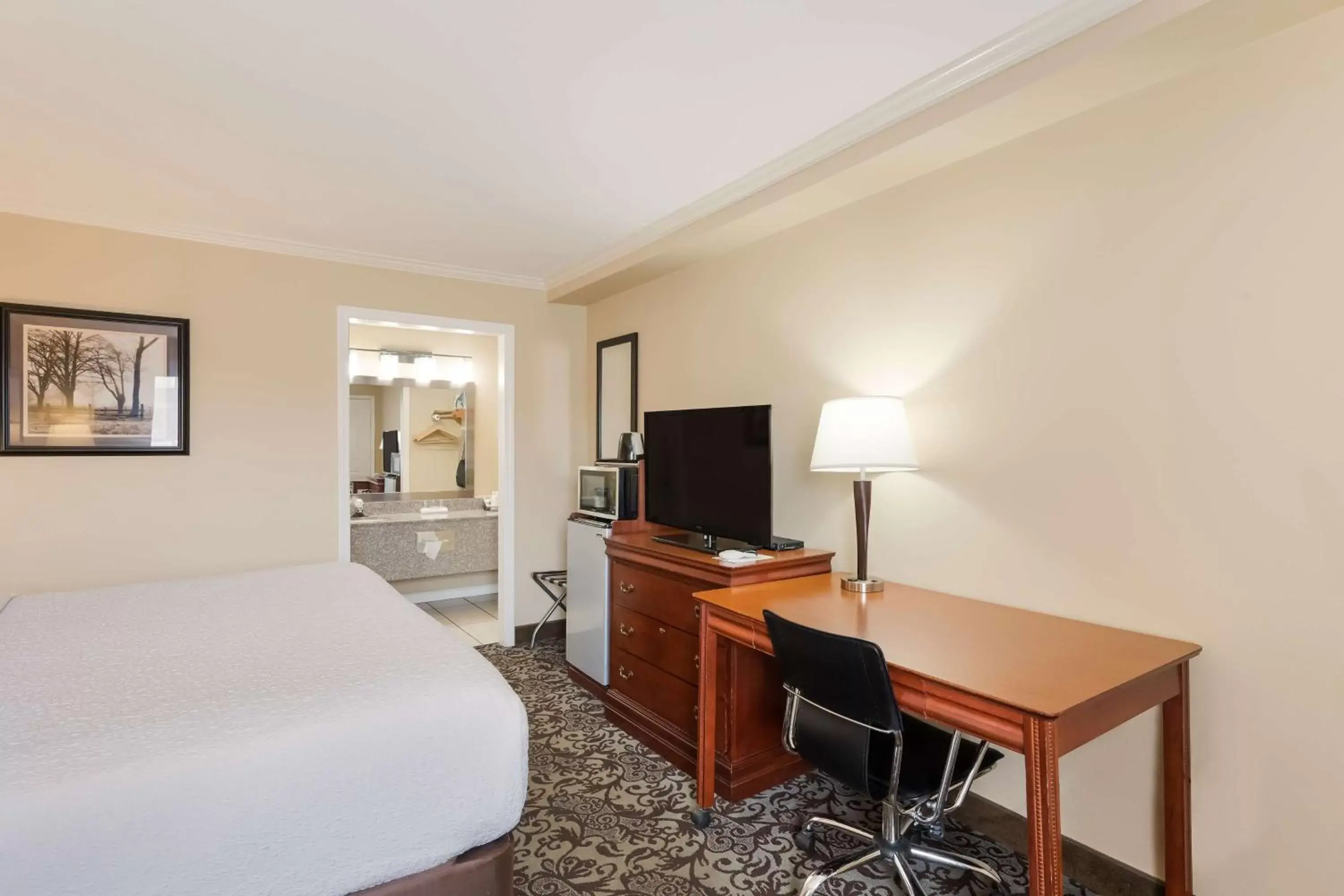 Bedroom, TV/Entertainment Center in Best Western Conway
