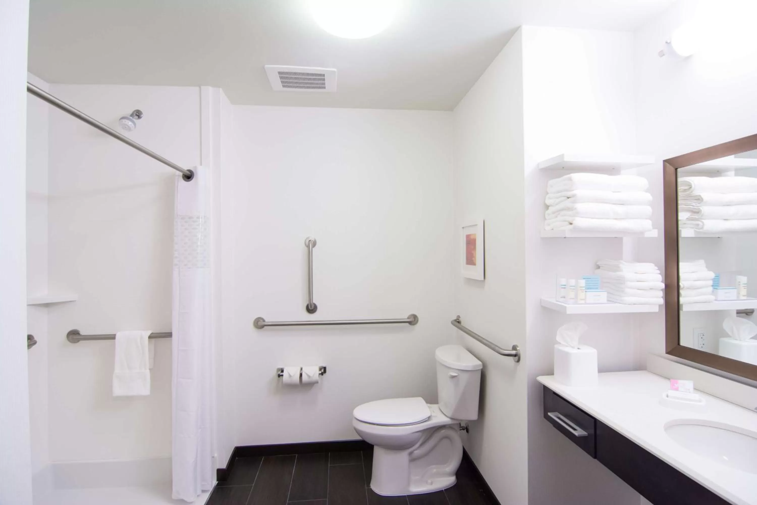 Bathroom in Hampton Inn Orange City