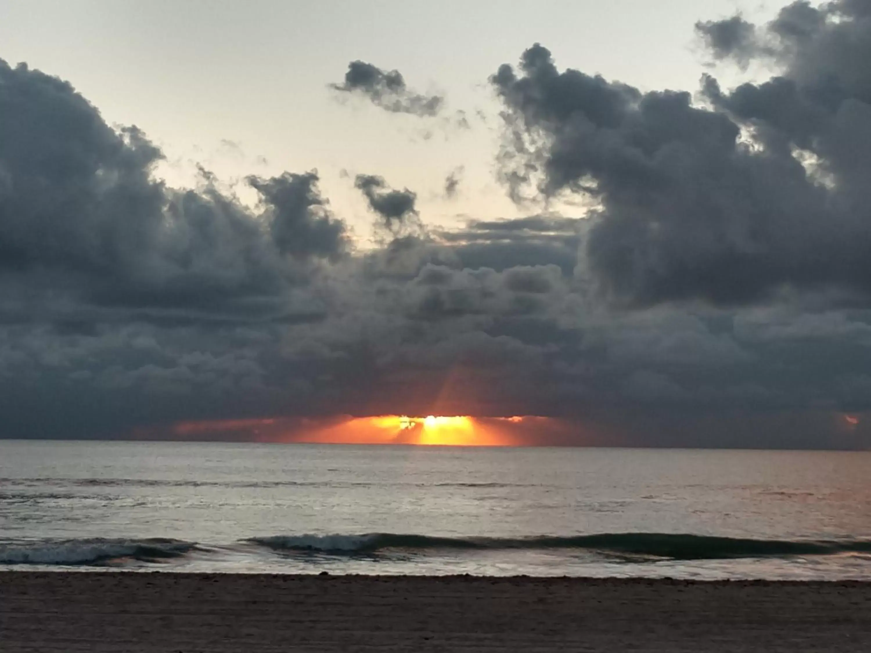 Beach, Sunrise/Sunset in Super 8 by Wyndham Dania/Fort Lauderdale Arpt