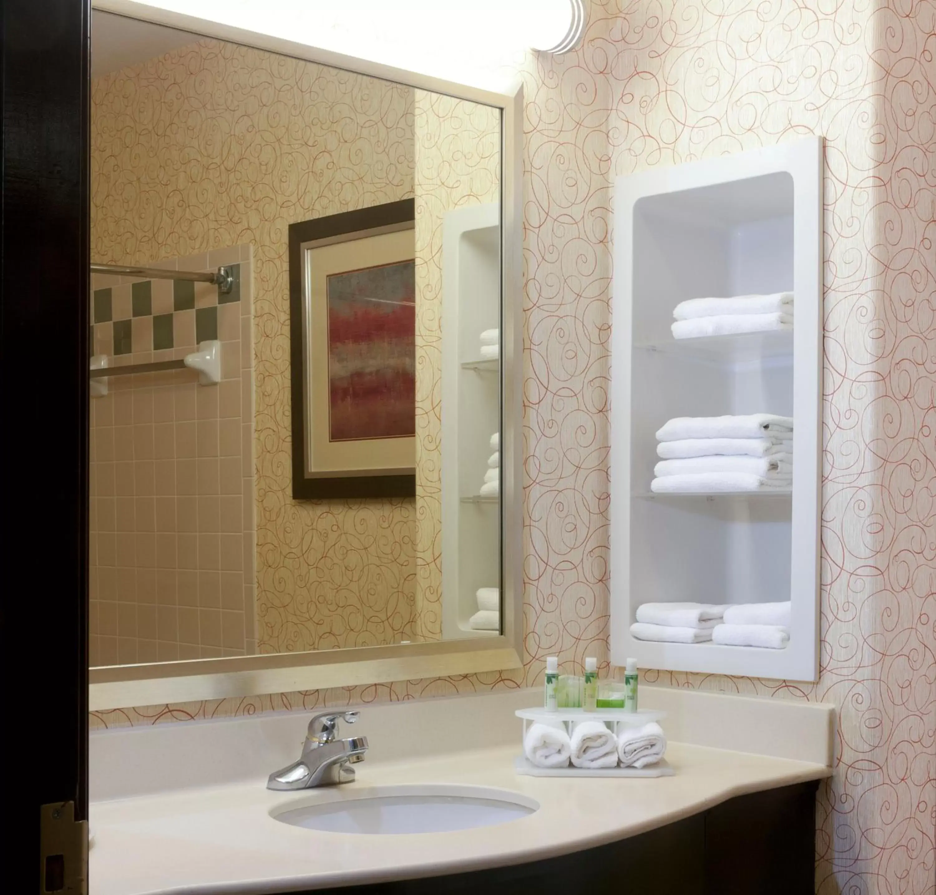 Bathroom in Holiday Inn Express Hotel and Suites Brownsville, an IHG Hotel