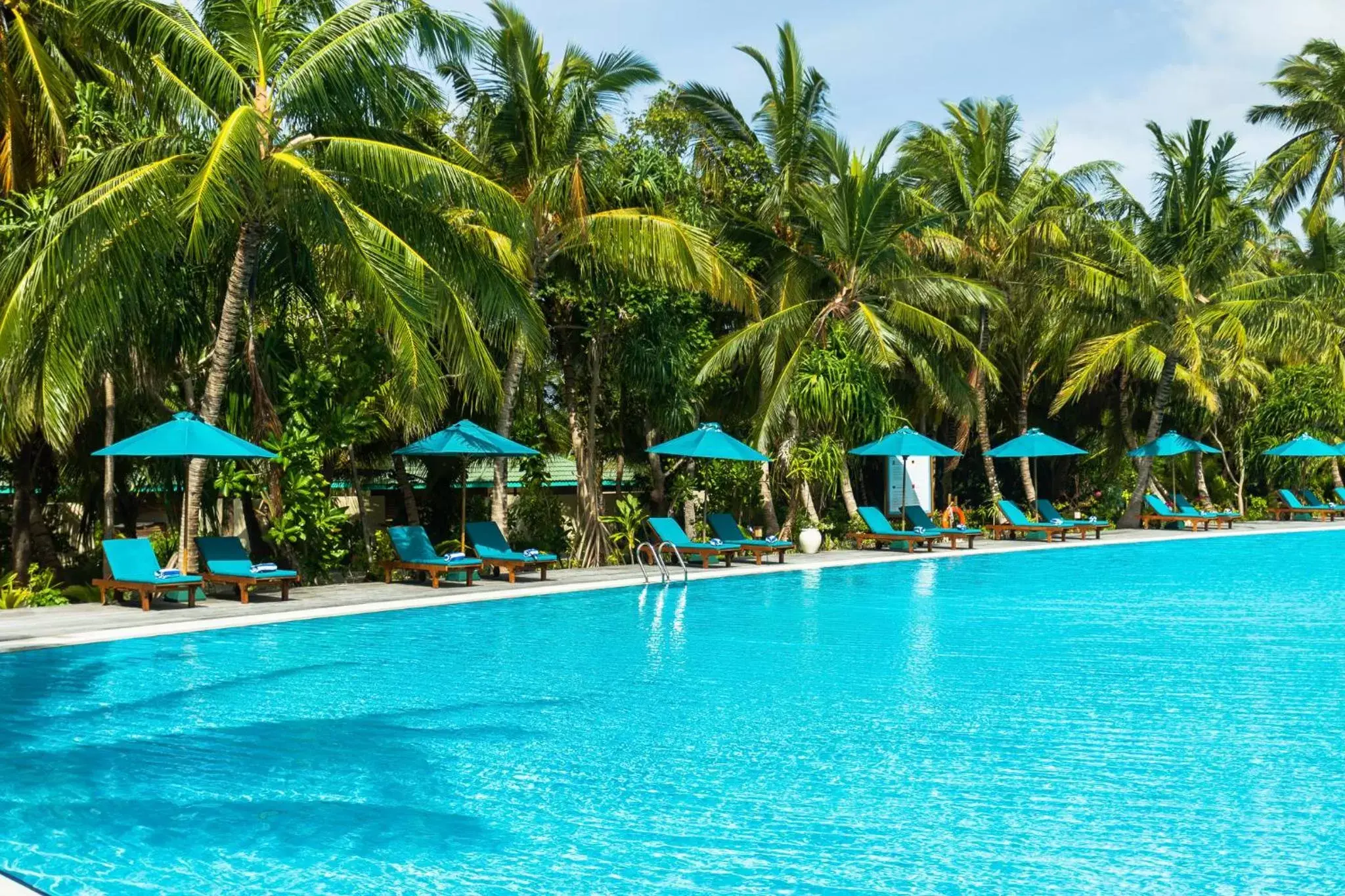 Lounge or bar, Swimming Pool in Canareef Resort Maldives