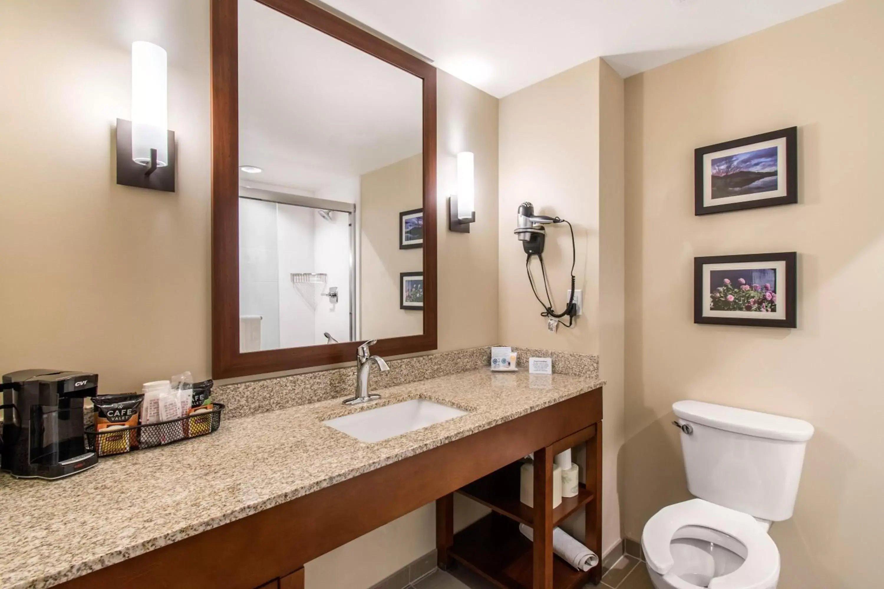 Shower, Bathroom in Comfort Suites Denver near Anschutz Medical Campus