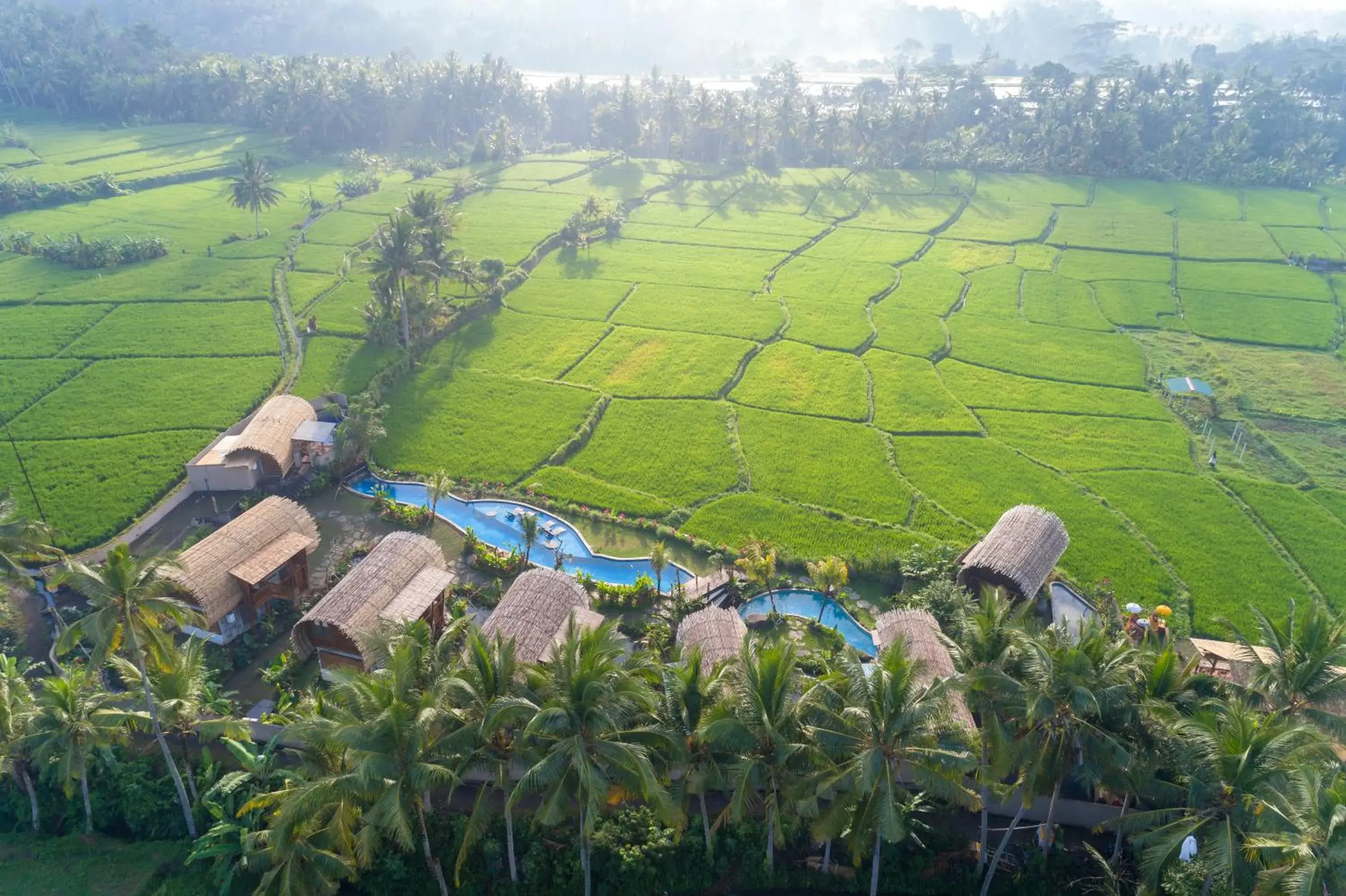 Sea view, Bird's-eye View in Beehouse Dijiwa Ubud