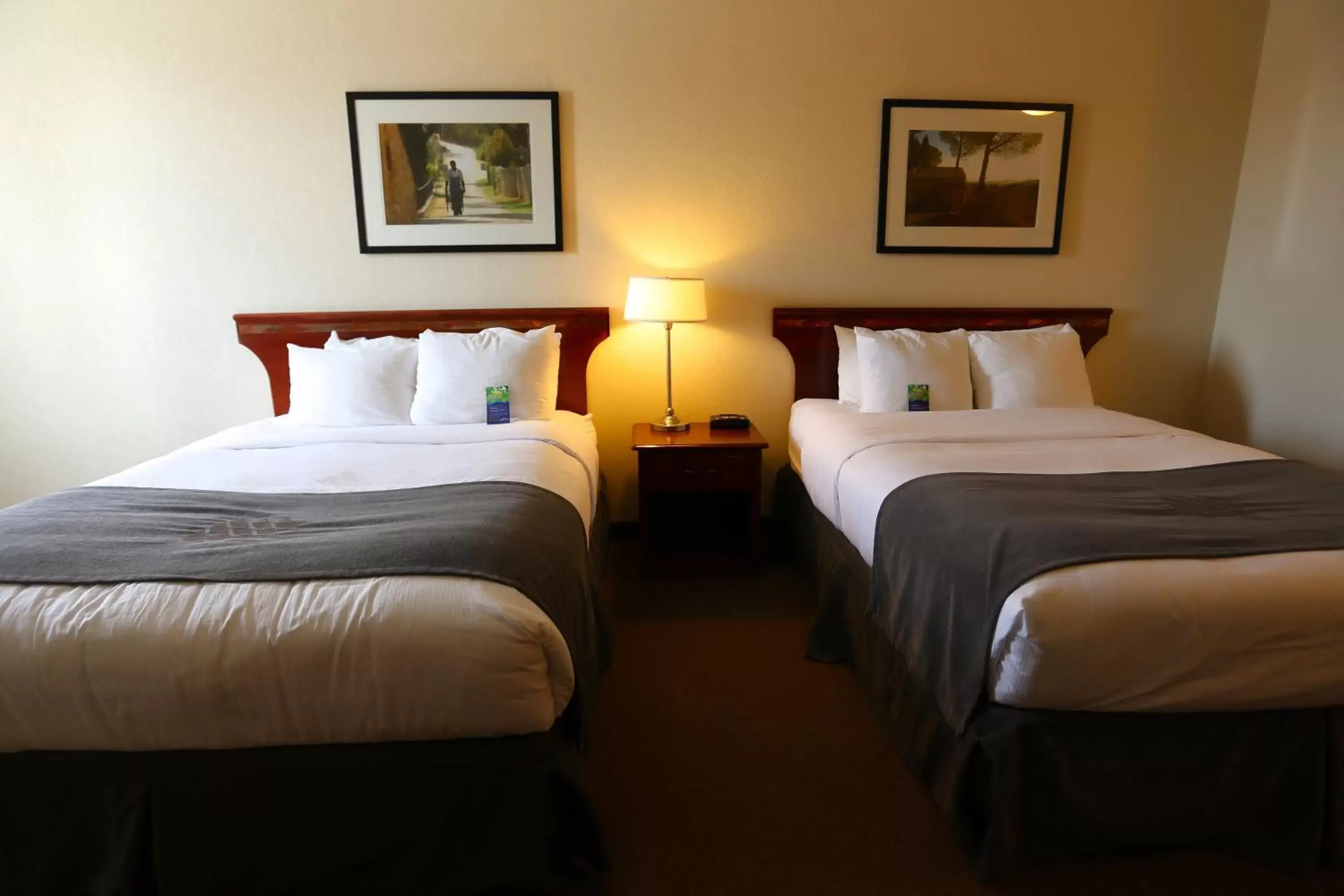 Bed in Lakeview Inns & Suites - Fort Nelson