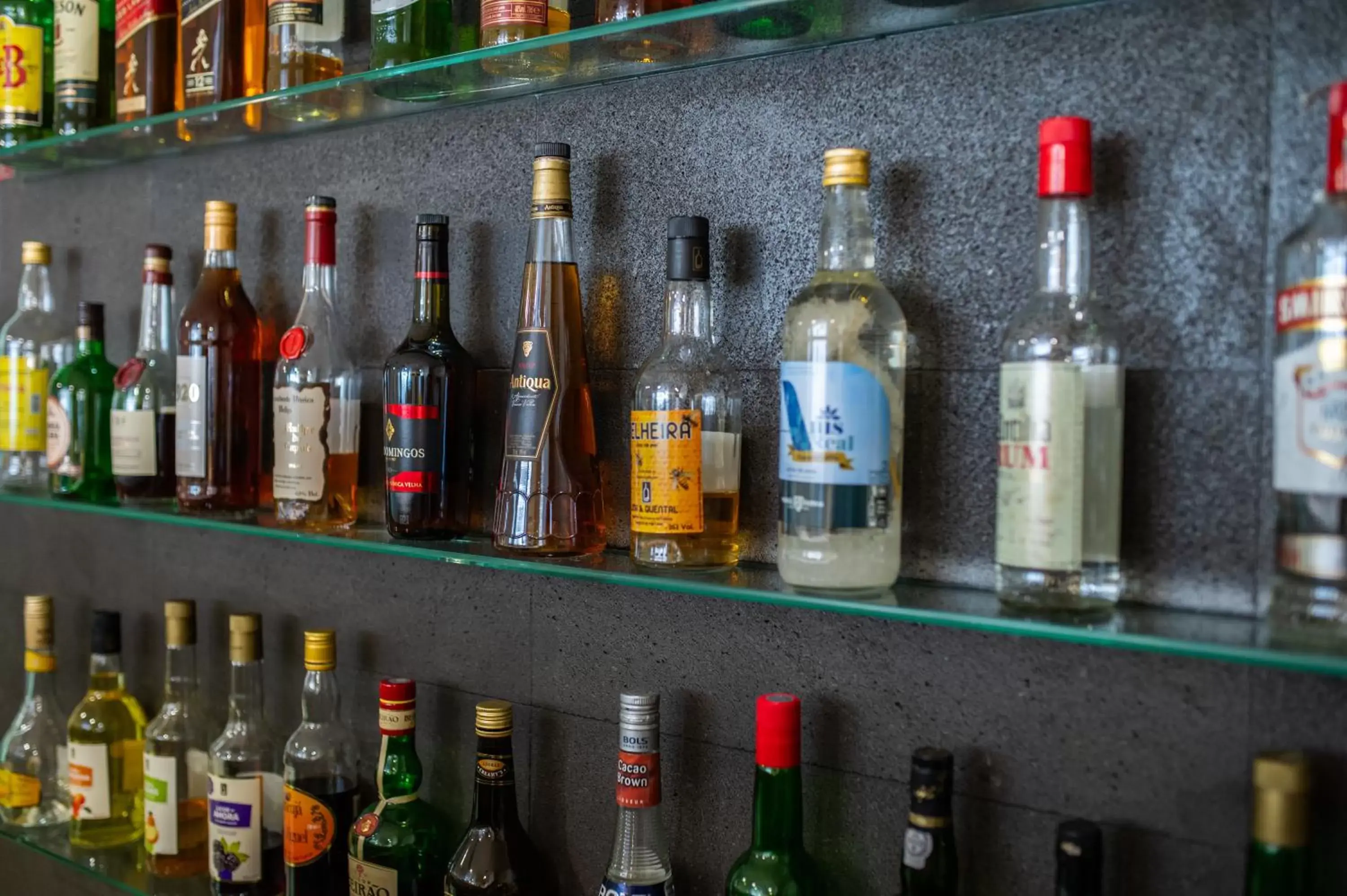 Lounge or bar, Drinks in Hotel Comfort Inn Ponta Delgada
