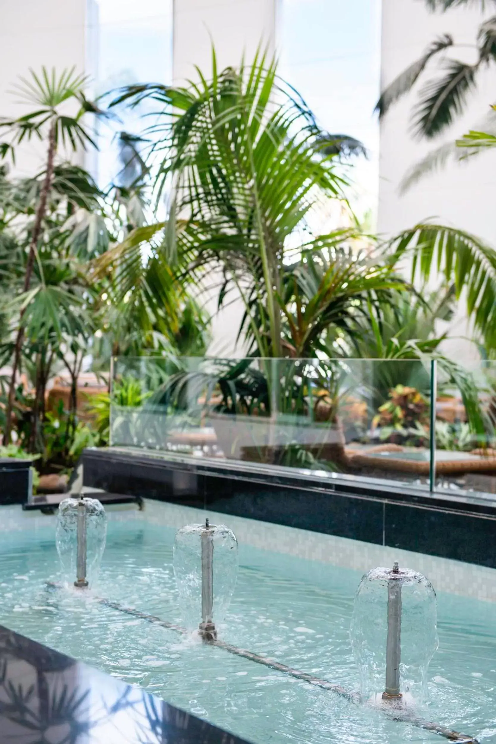 Lobby or reception, Swimming Pool in Spring Hotel Vulcano