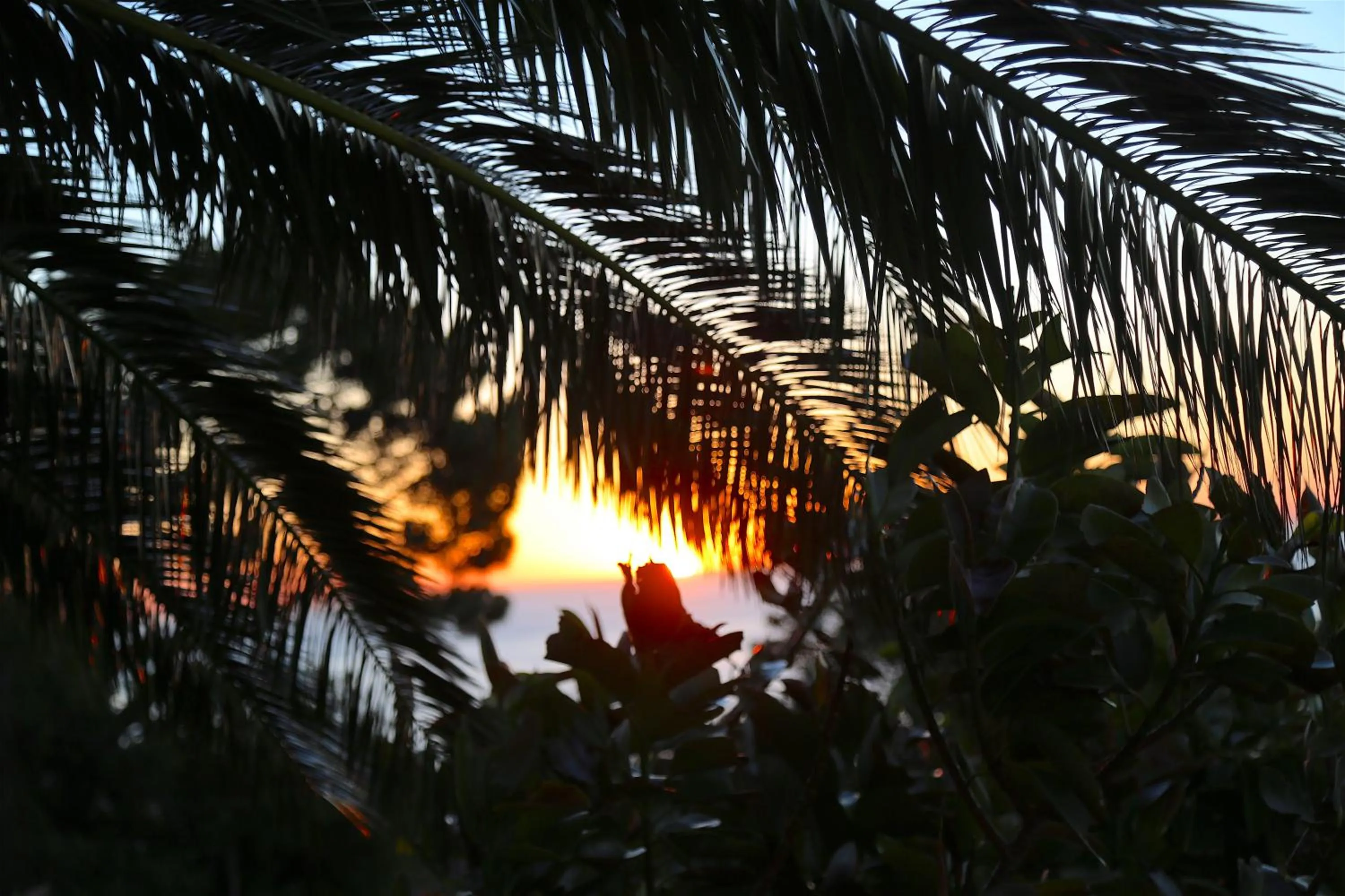 Sea view in Atlanticview Cape Town Boutique Hotel