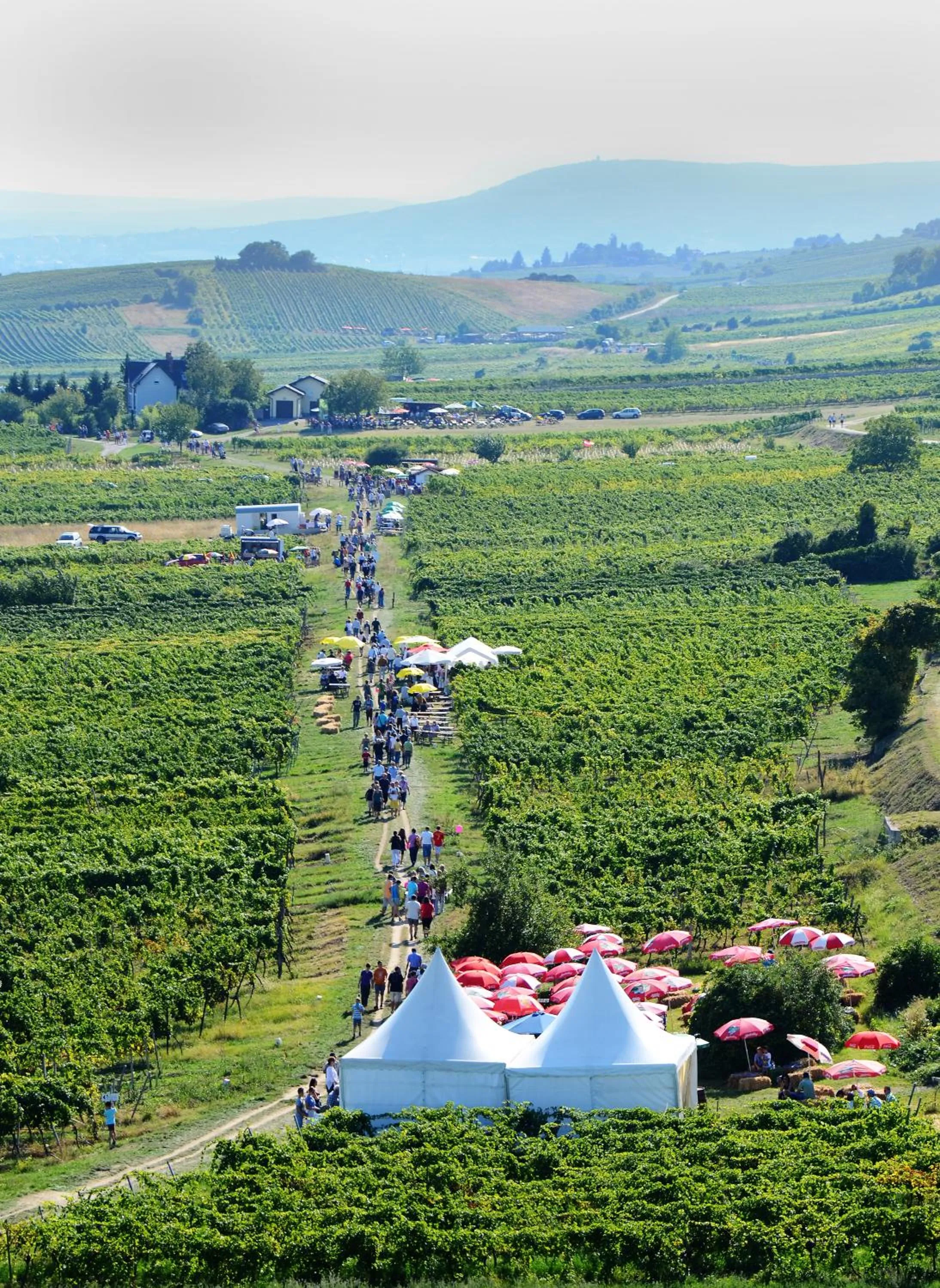 Entertainment in Hotel Landhaus Moserhof
