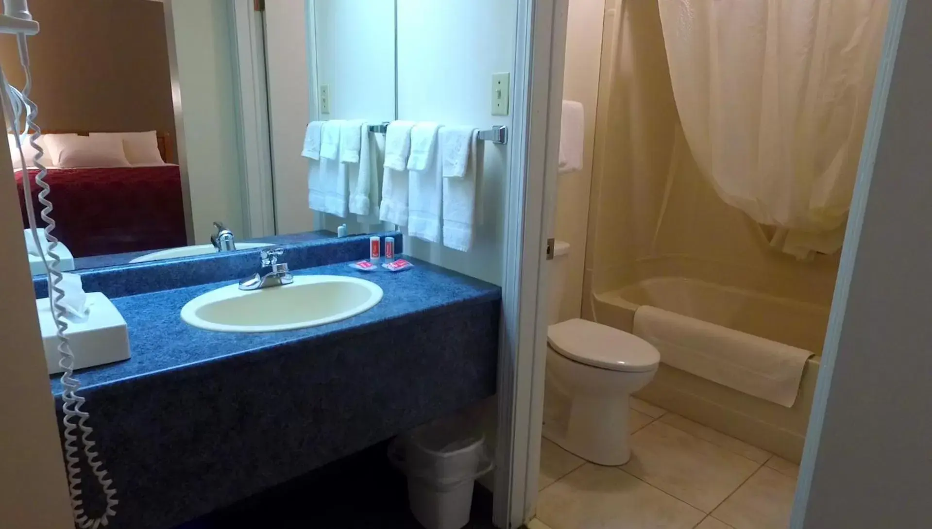 Bathroom in Econo Lodge Inn & Suites Saint John