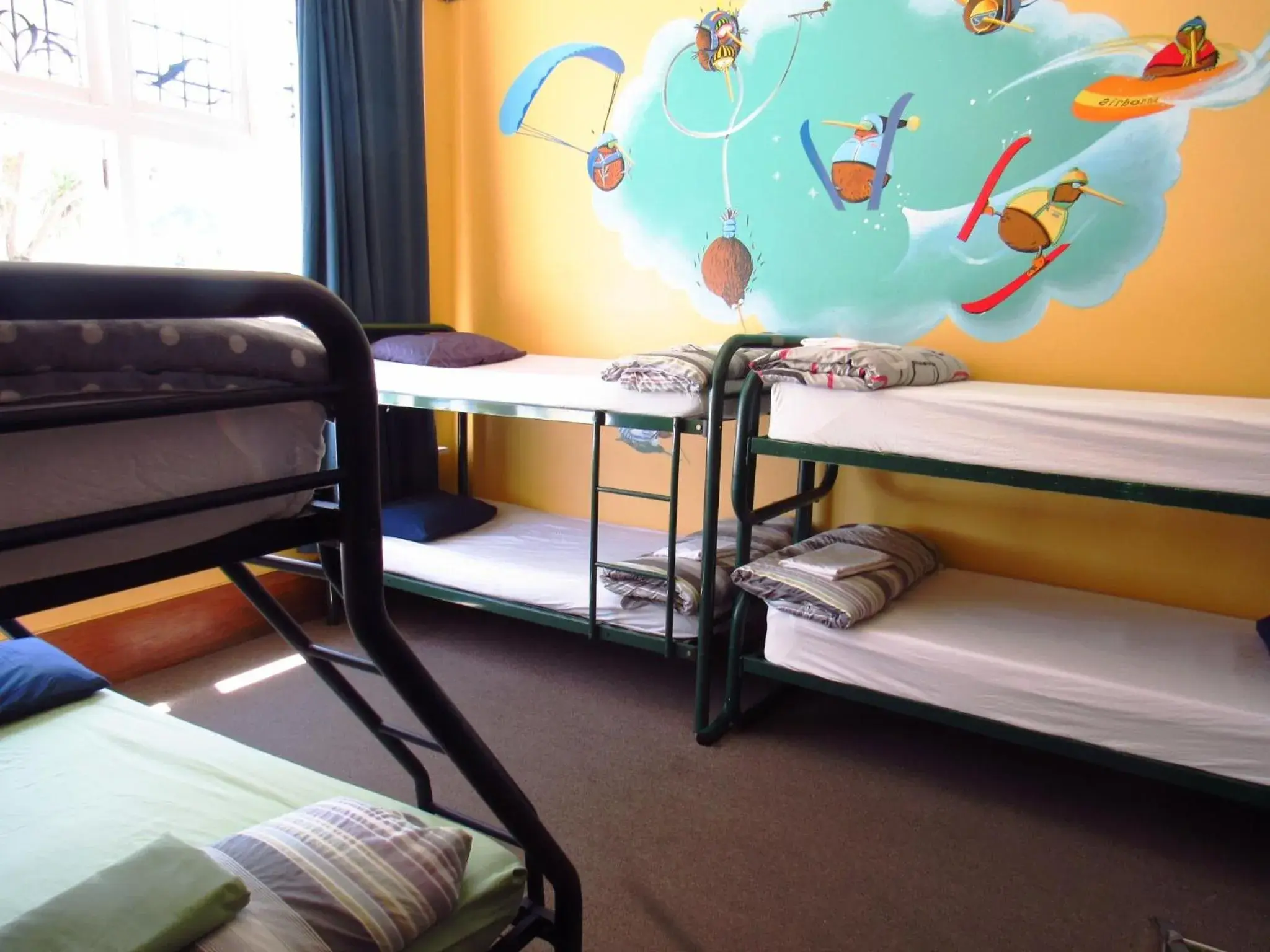 Bunk Bed in Noah's Ark Backpackers