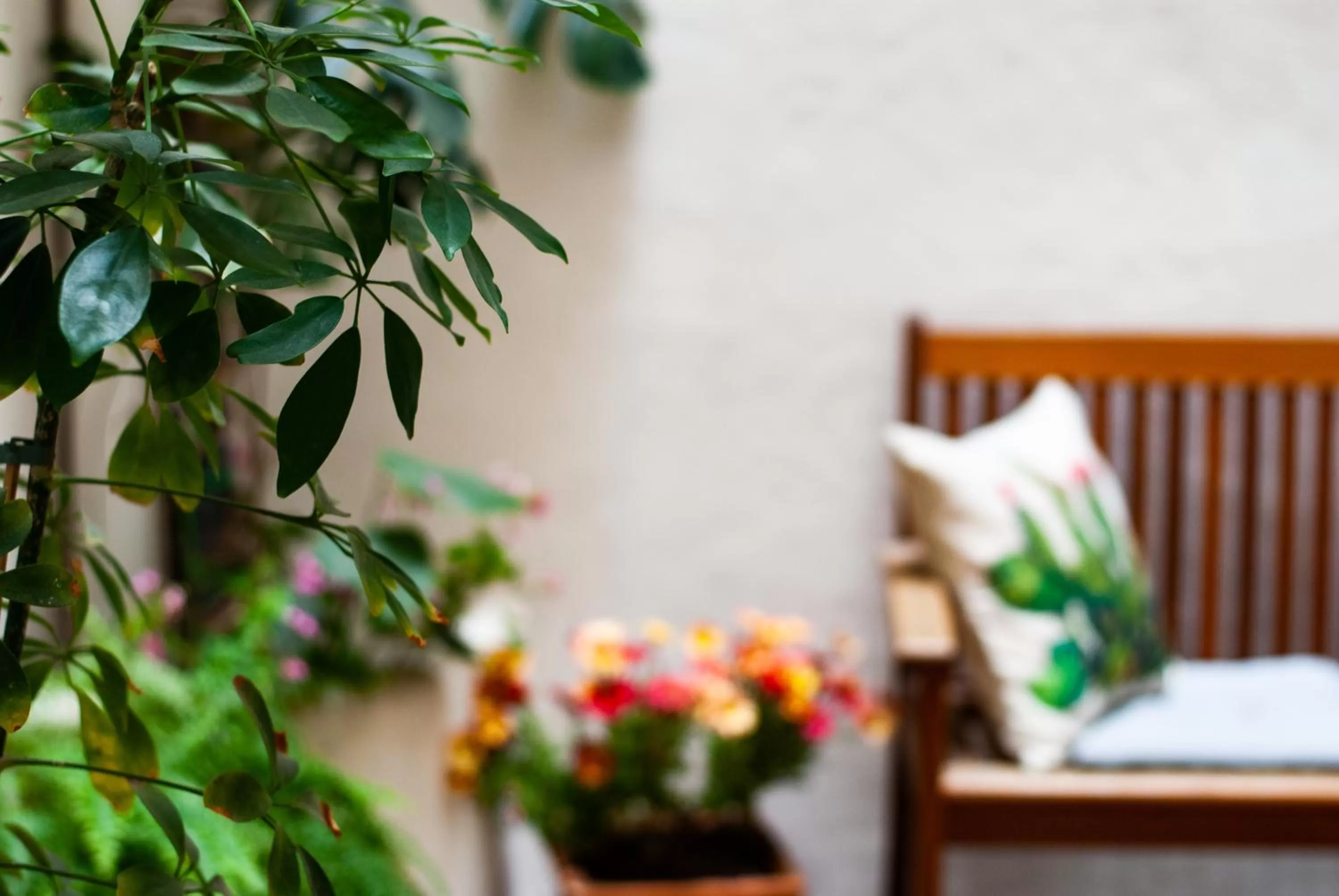 Balcony/Terrace, Bed in Affittacamere B&B Carella