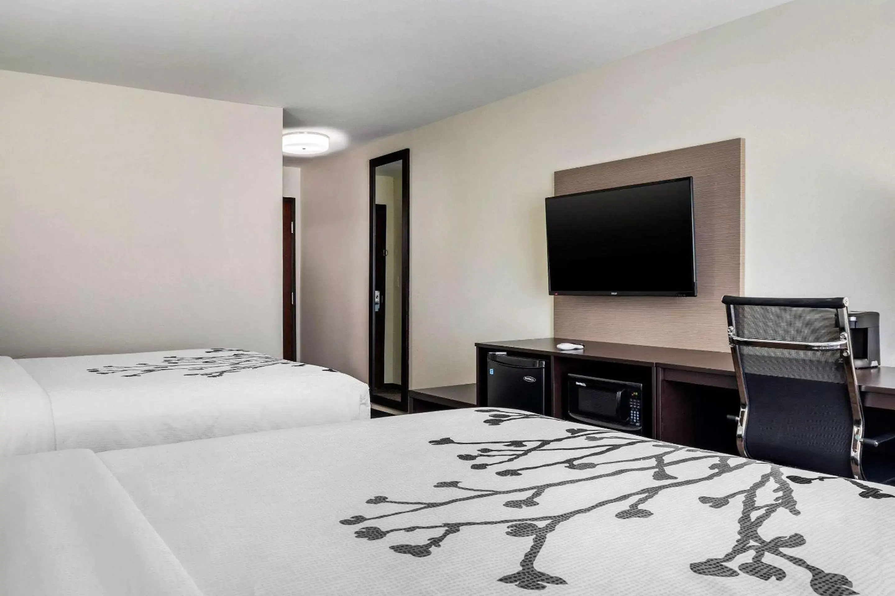 Photo of the whole room, Bed in Sleep Inn & Suites near Westchase