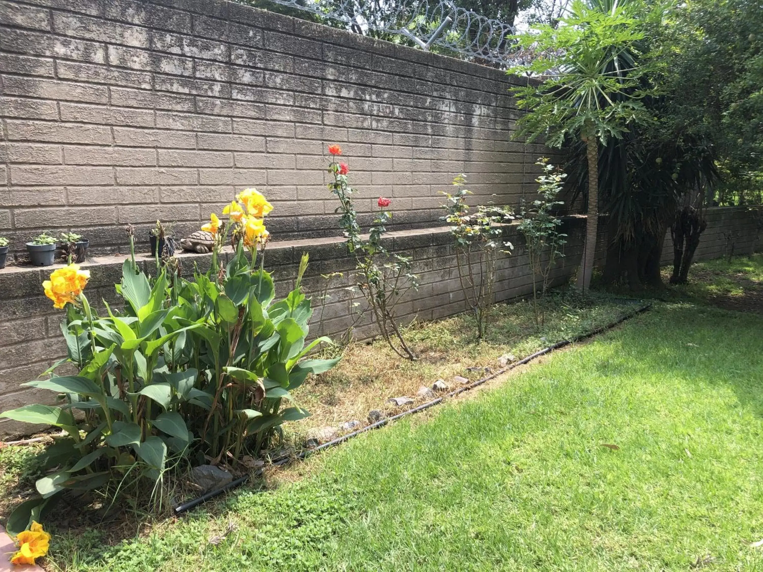 Garden in Casa del Retoño