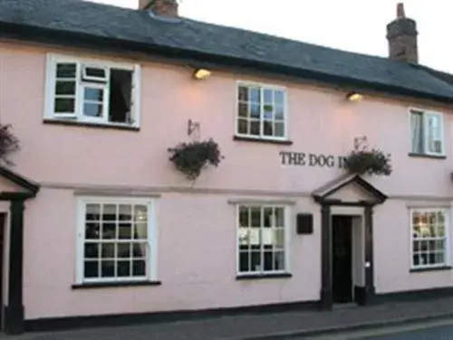 Property Building in The Dog Inn