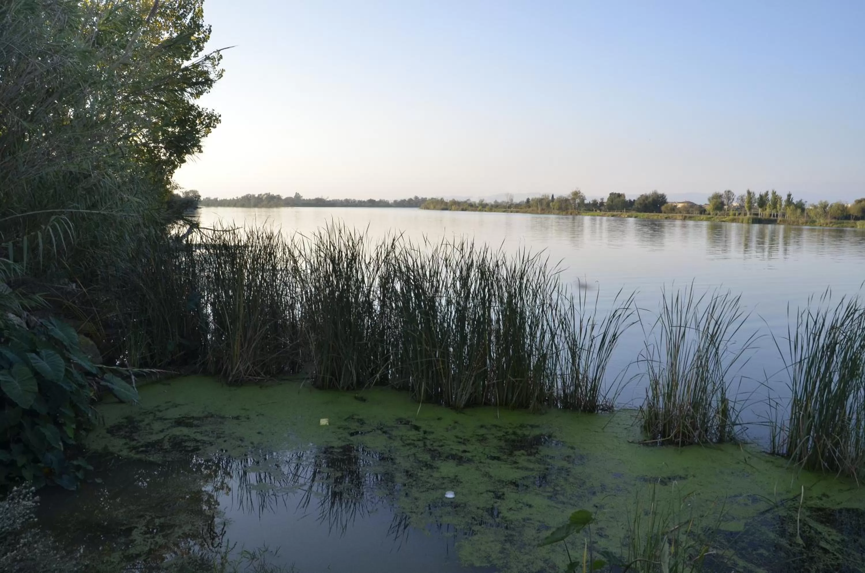 Natural Landscape in River Dreams