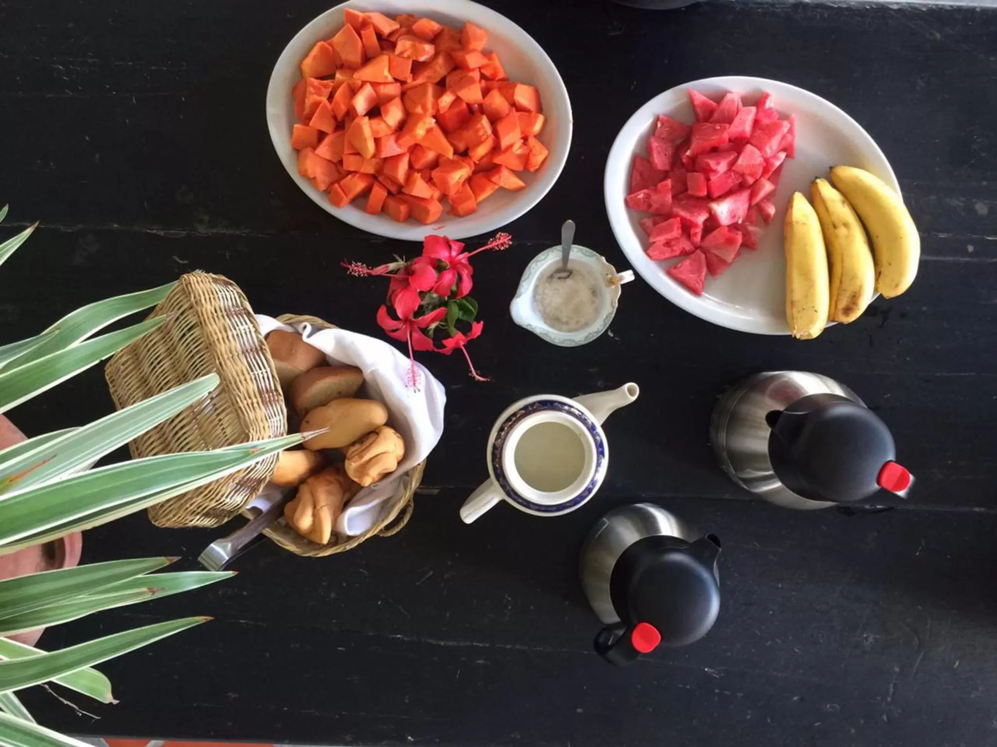 Property building in Waka Hotel Rural