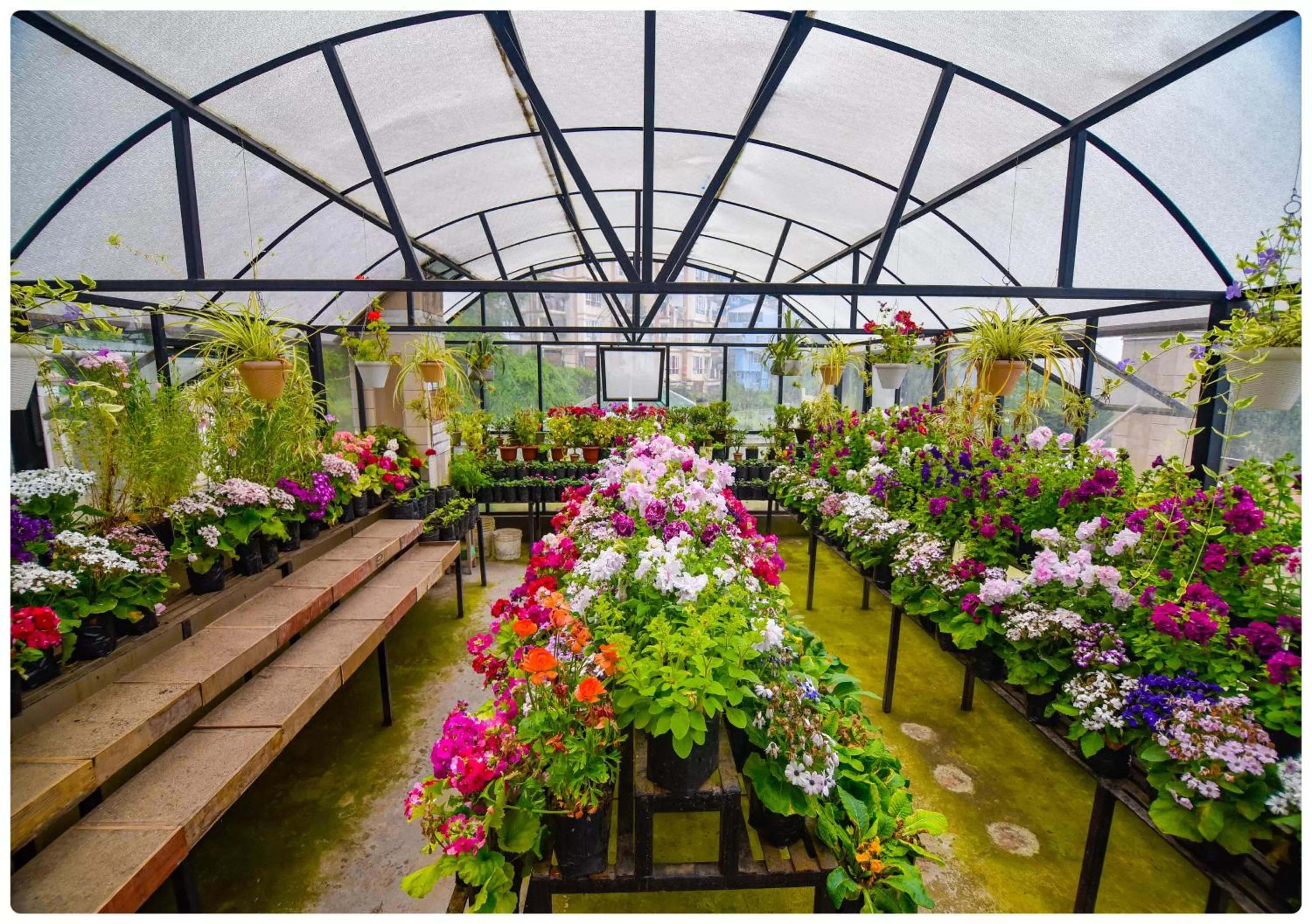 Garden view in Cedar Inn