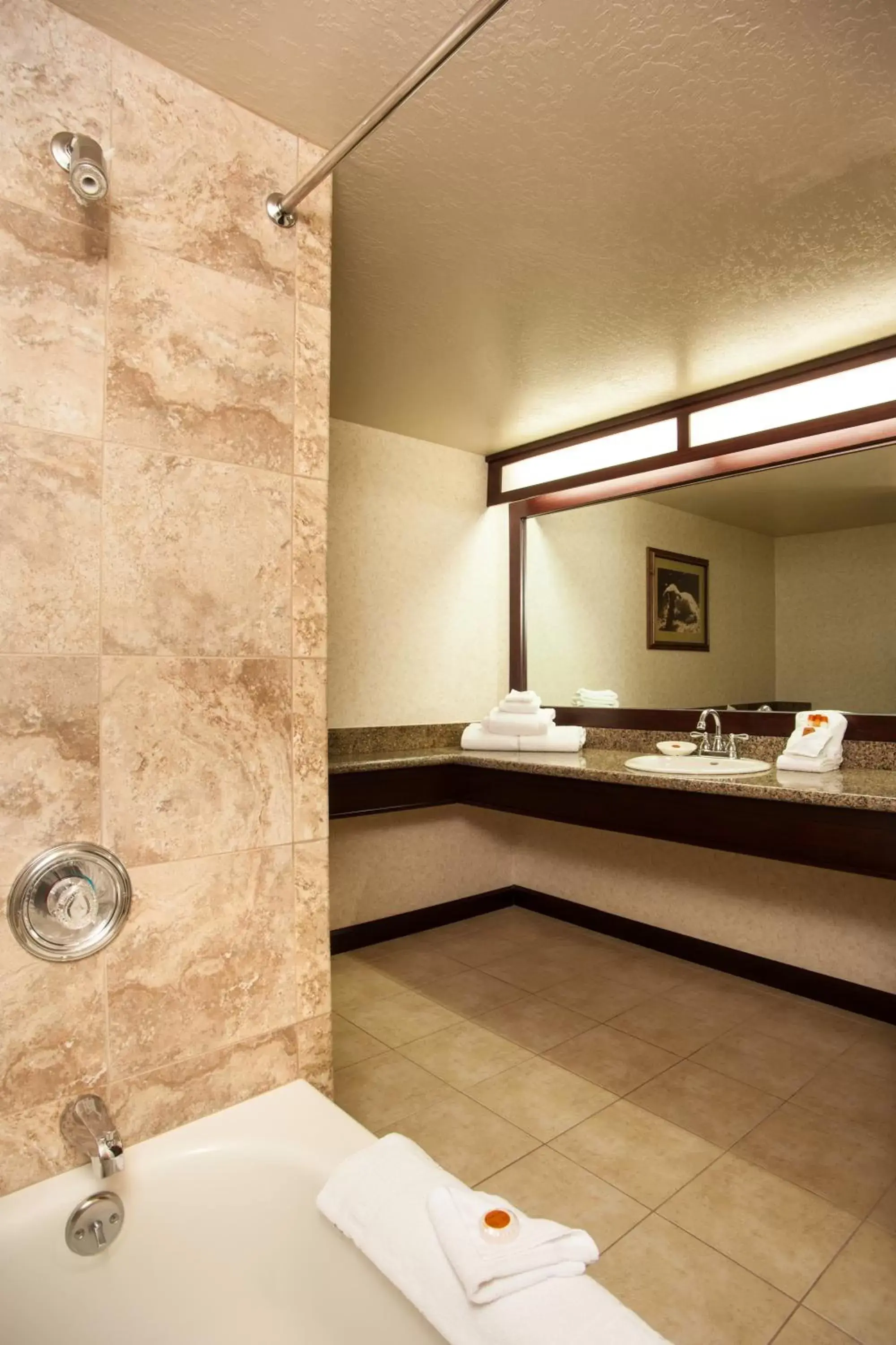 Bathroom in Carson Valley Inn