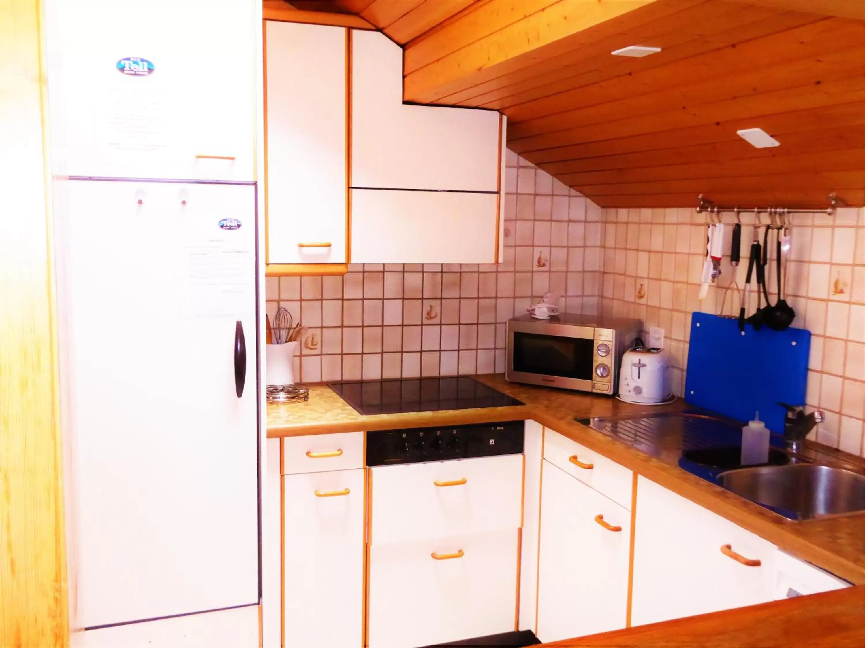 Kitchen or kitchenette, Kitchen/Kitchenette in Hotel Tell and Apartments
