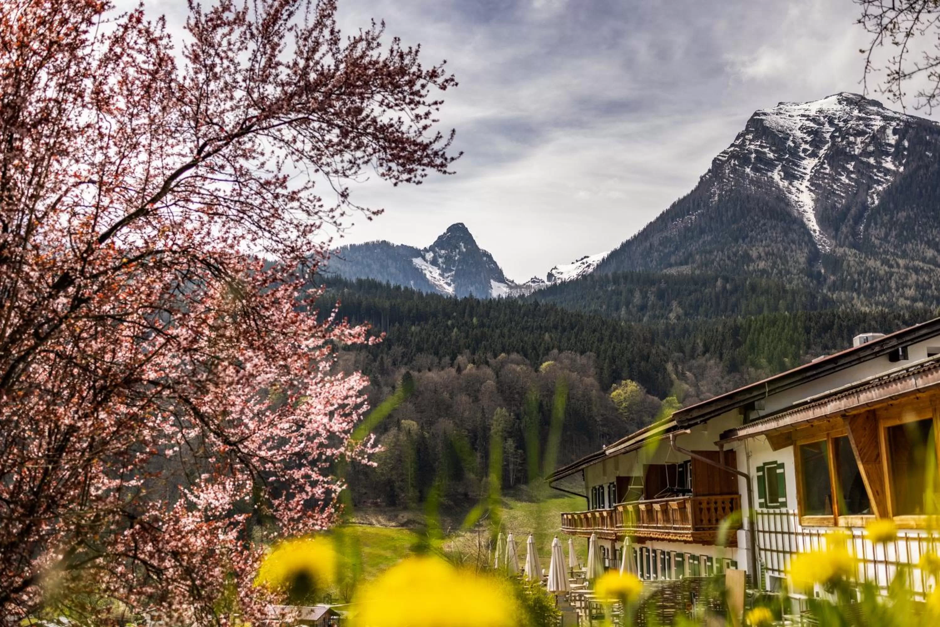 Natural landscape in Berghotel Rehlegg