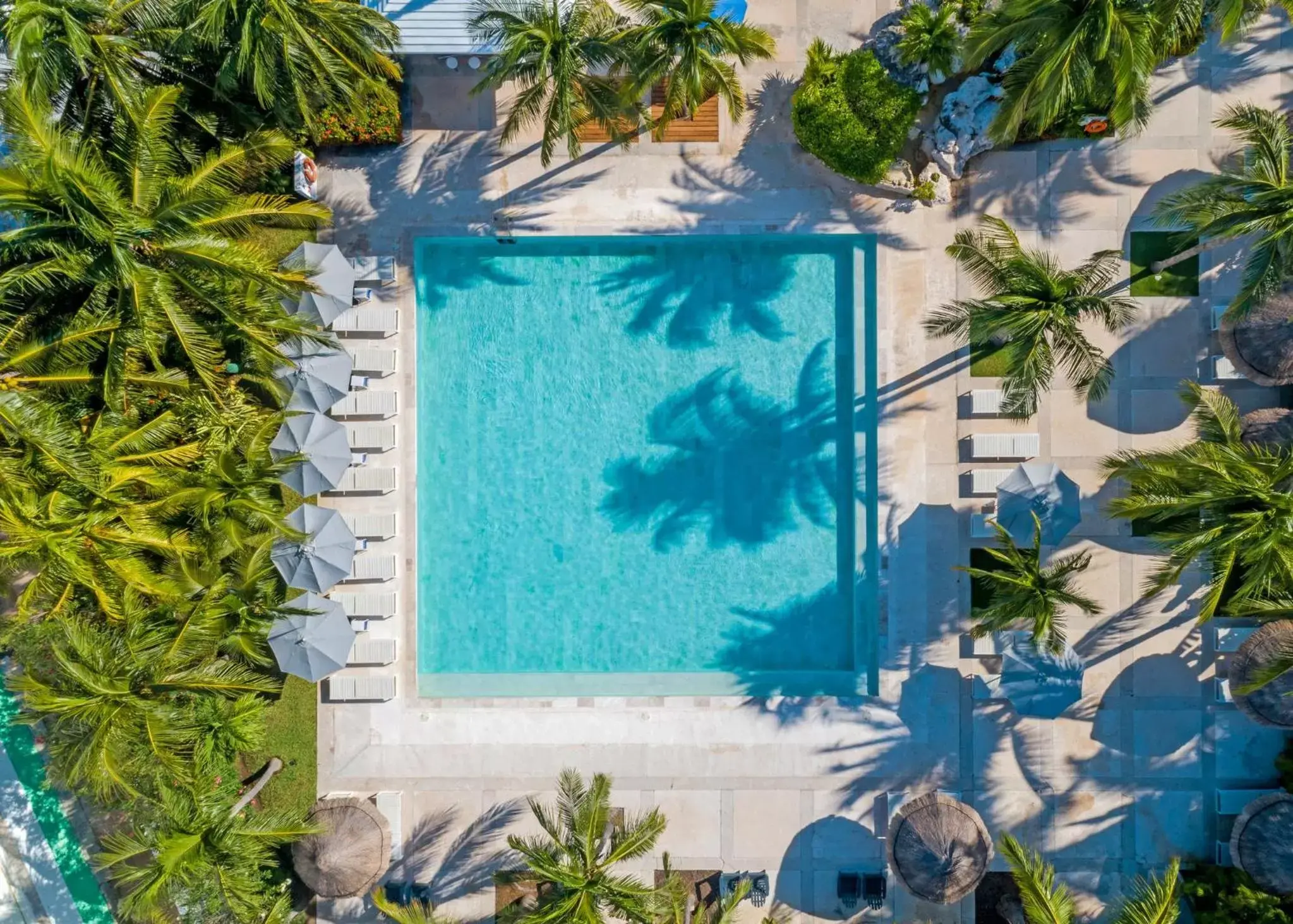 Swimming pool, Pool View in InterContinental Presidente Cancun Resort