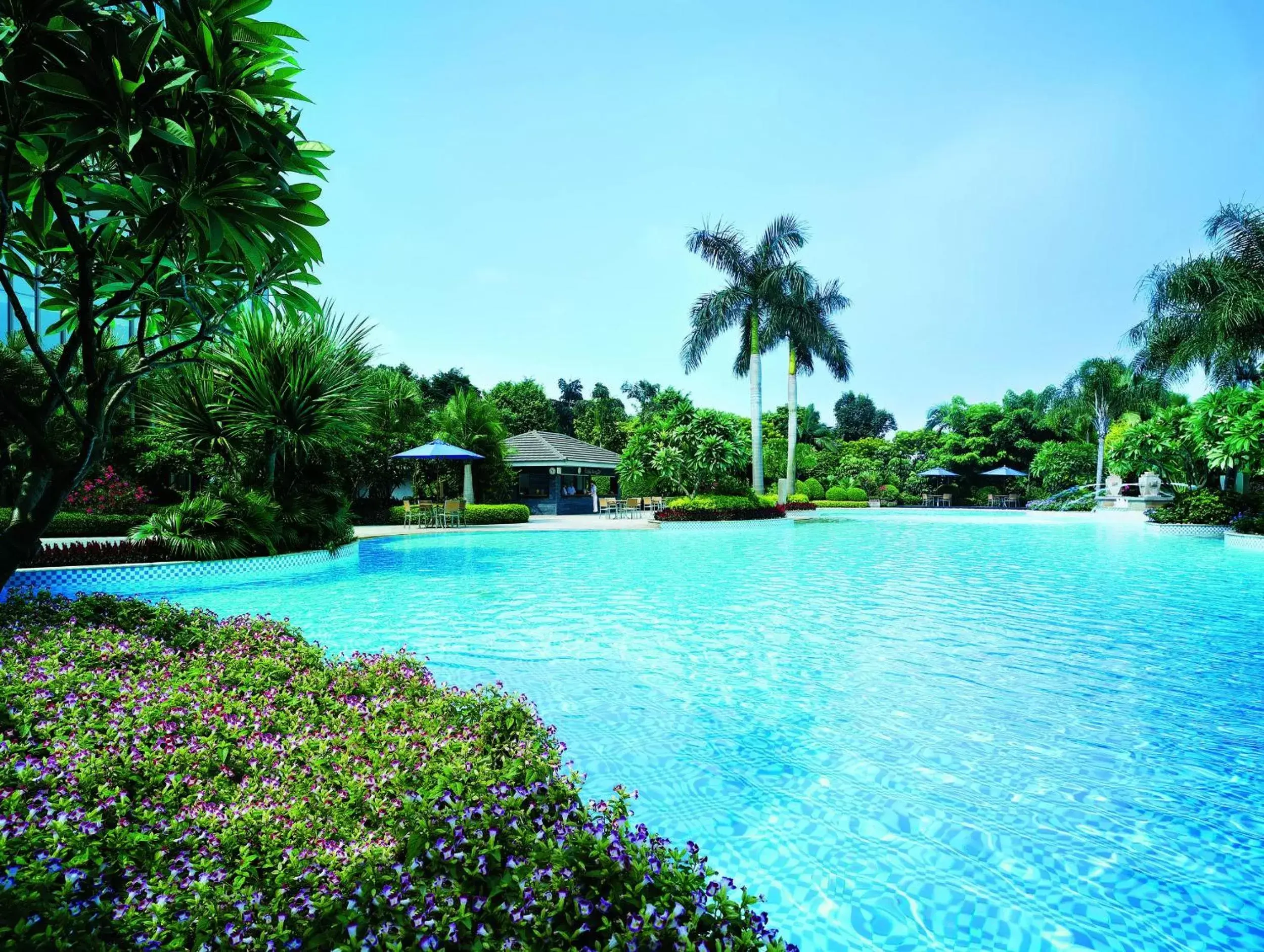 Swimming Pool in Shangri-La Guangzhou