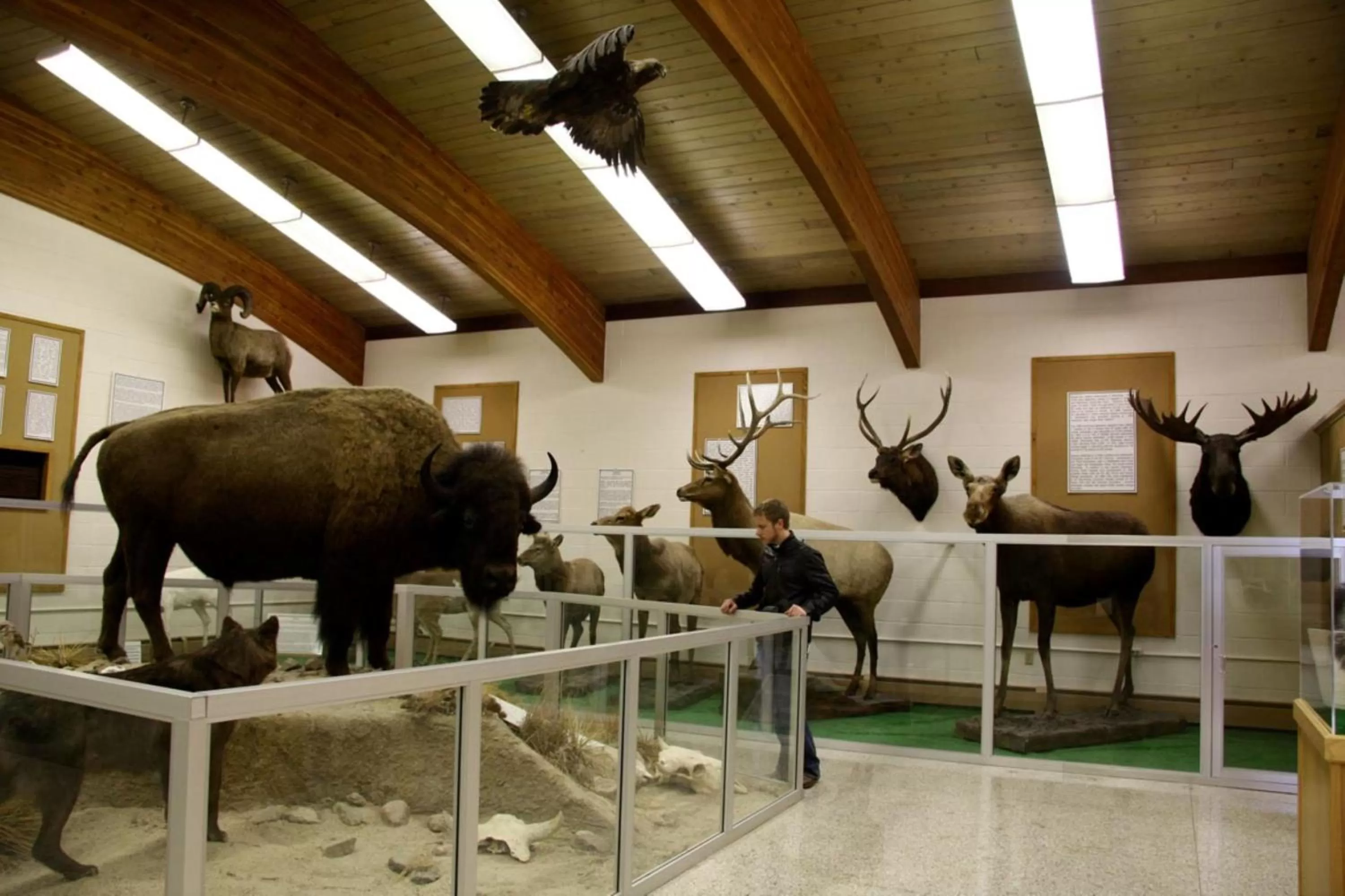 Nearby landmark in Holiday Inn Casper East-Medical Center by IHG