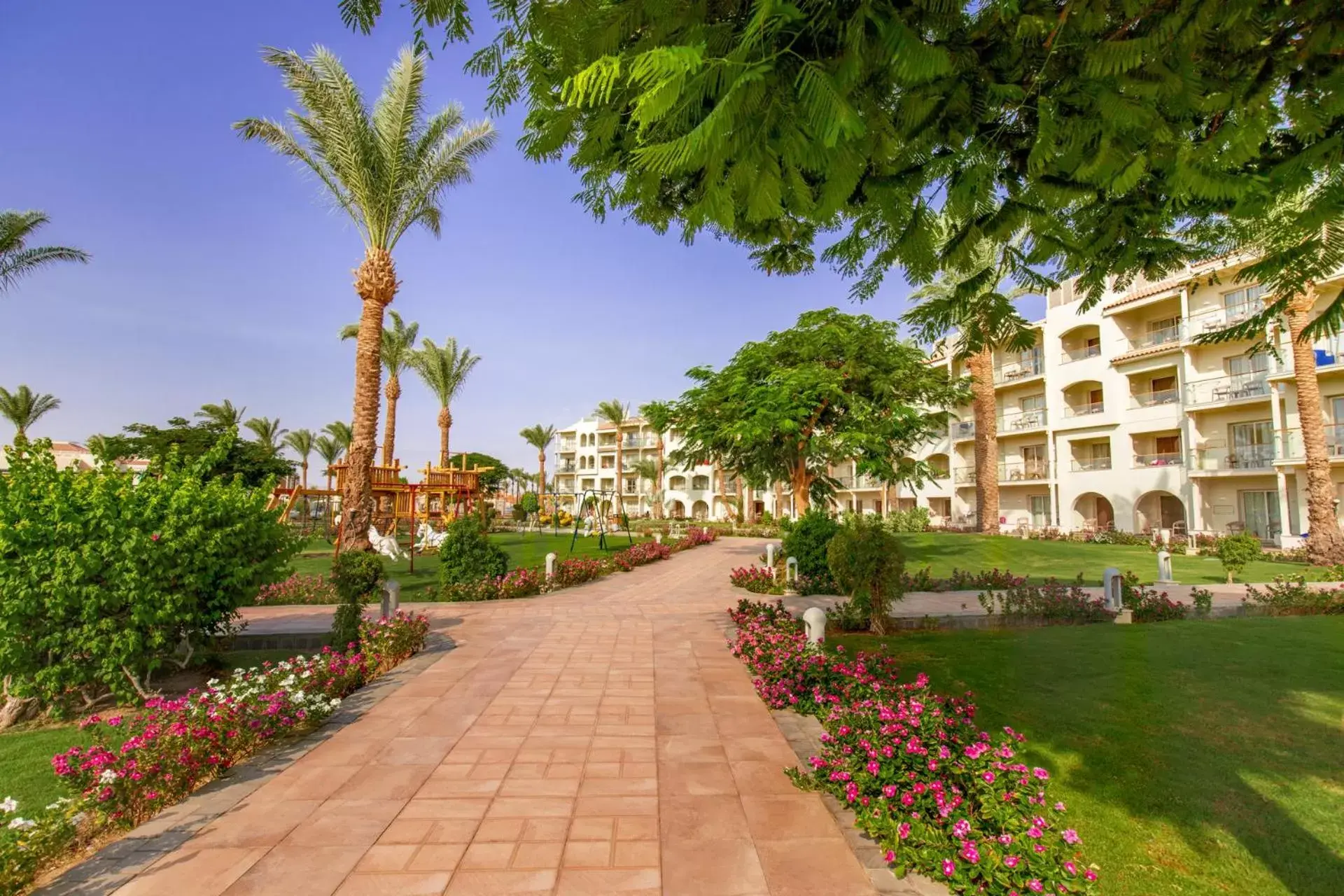 Natural landscape, Garden in Pickalbatros Dana Beach Resort - Hurghada