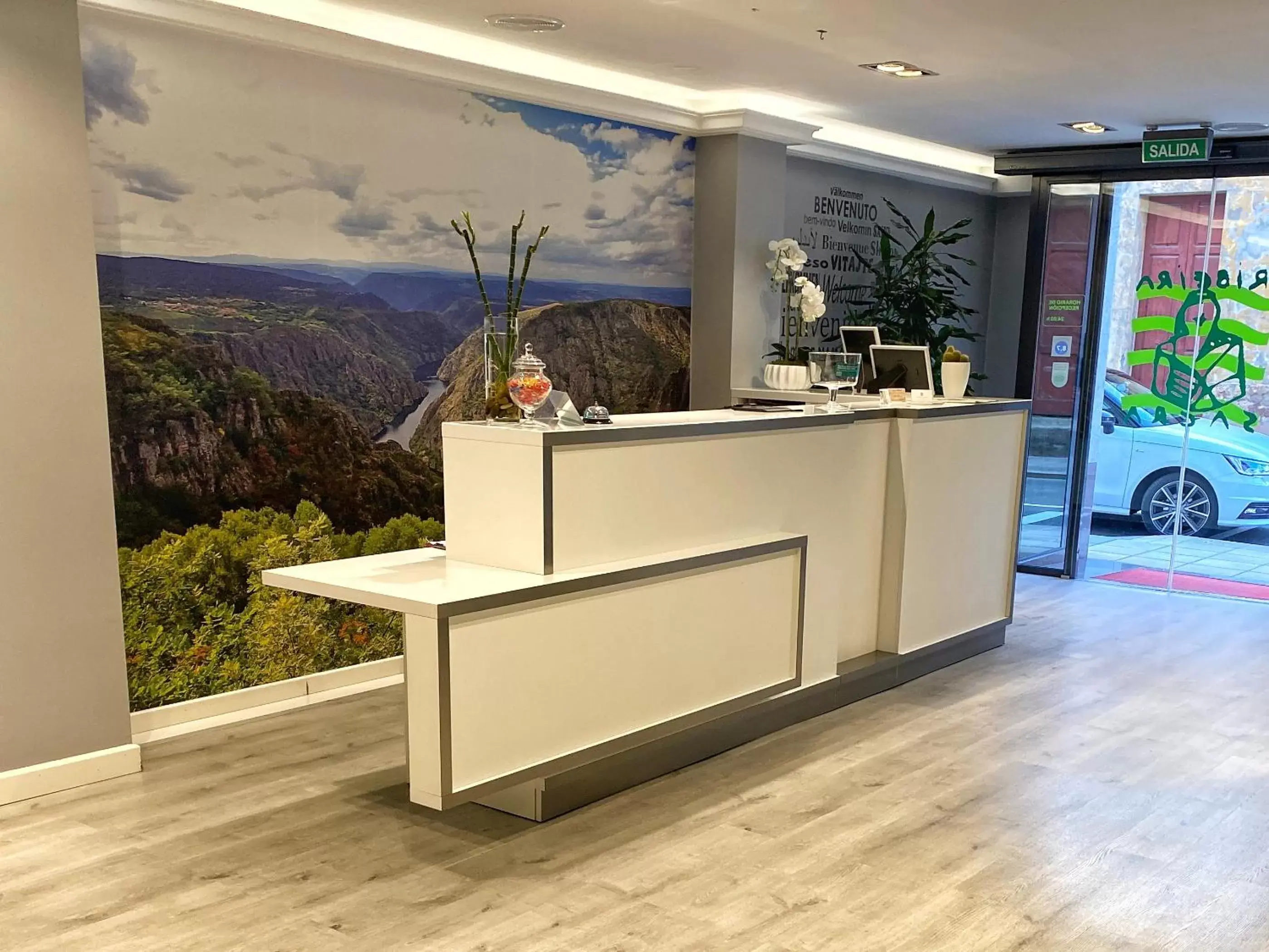 Lobby or reception, Lobby/Reception in Hotel Ribeira Sacra