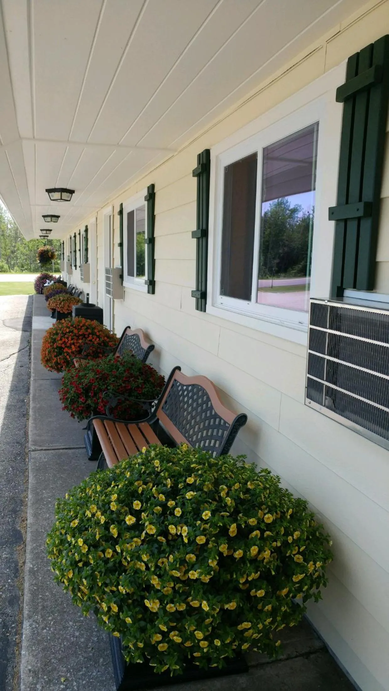 Sunset Motel at Armand's Gardens