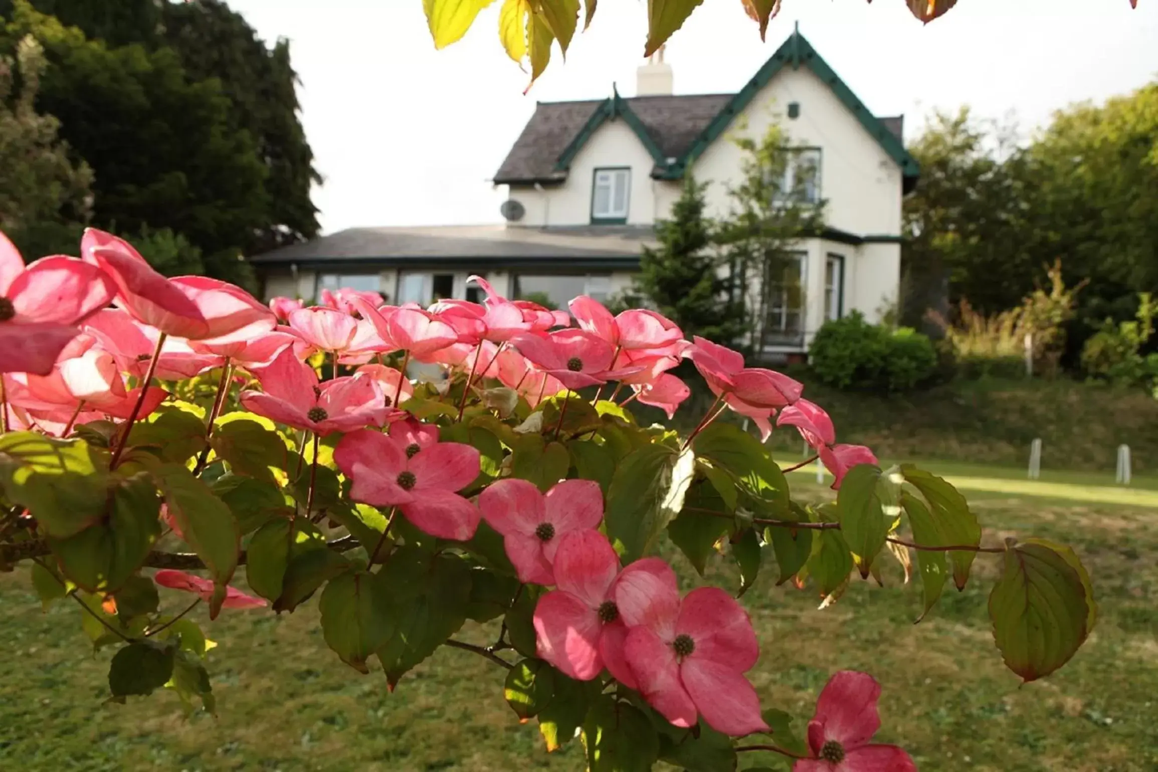 Garden view, Property Building in Robin Hill House B&B