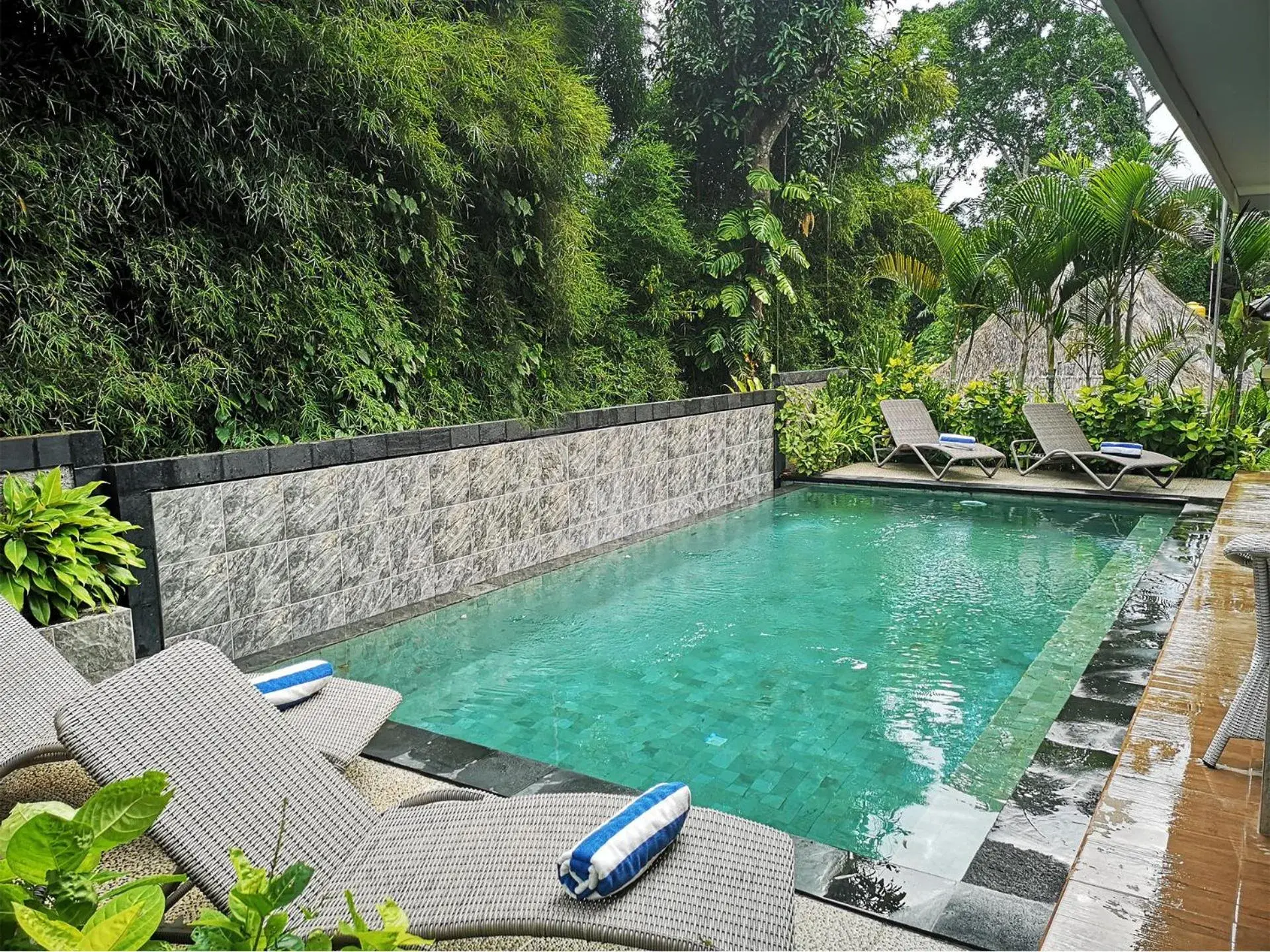 Swimming Pool in Villa Nirvana