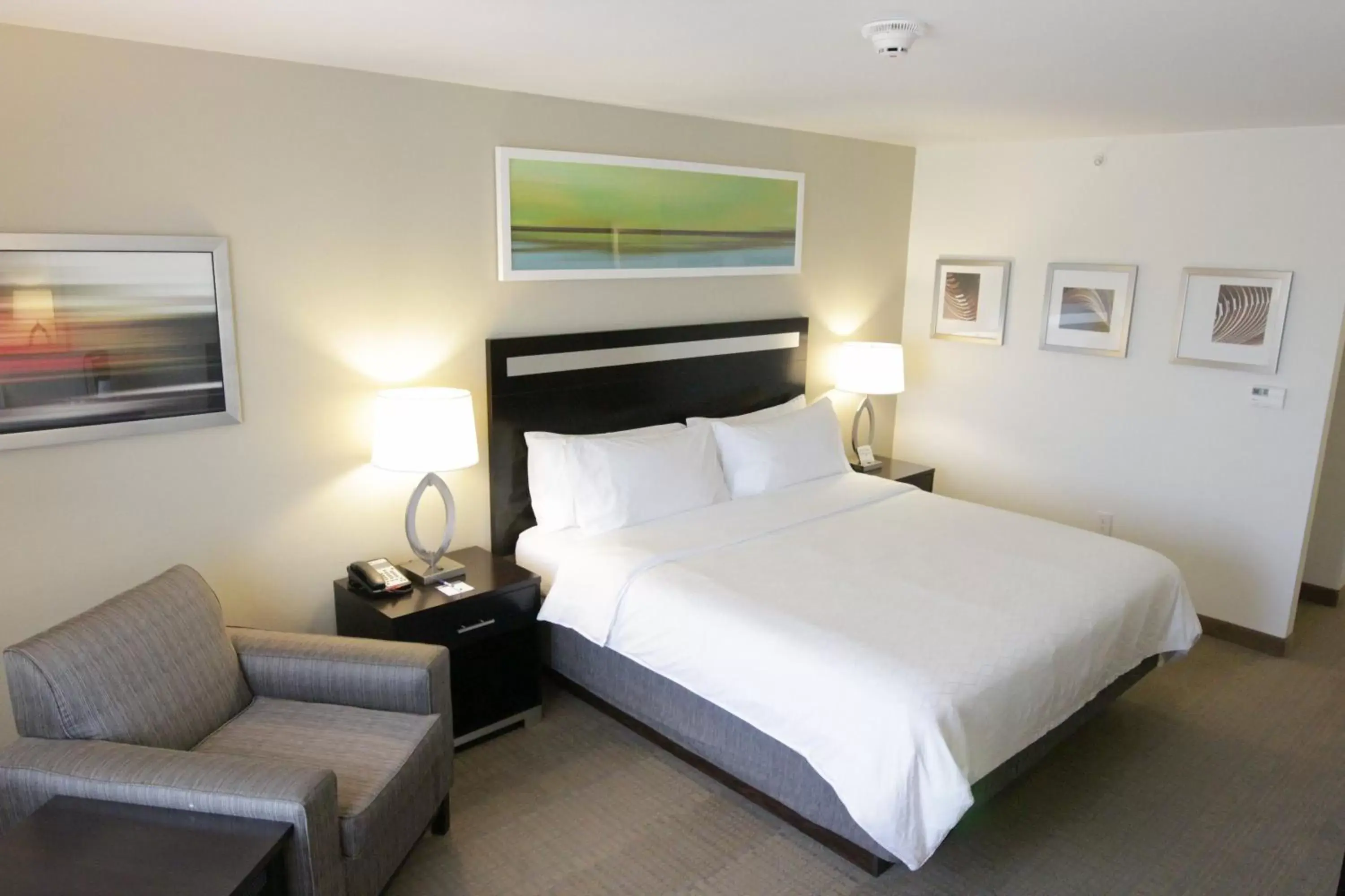 Photo of the whole room, Bed in Holiday Inn Express and Suites Montgomery, an IHG Hotel