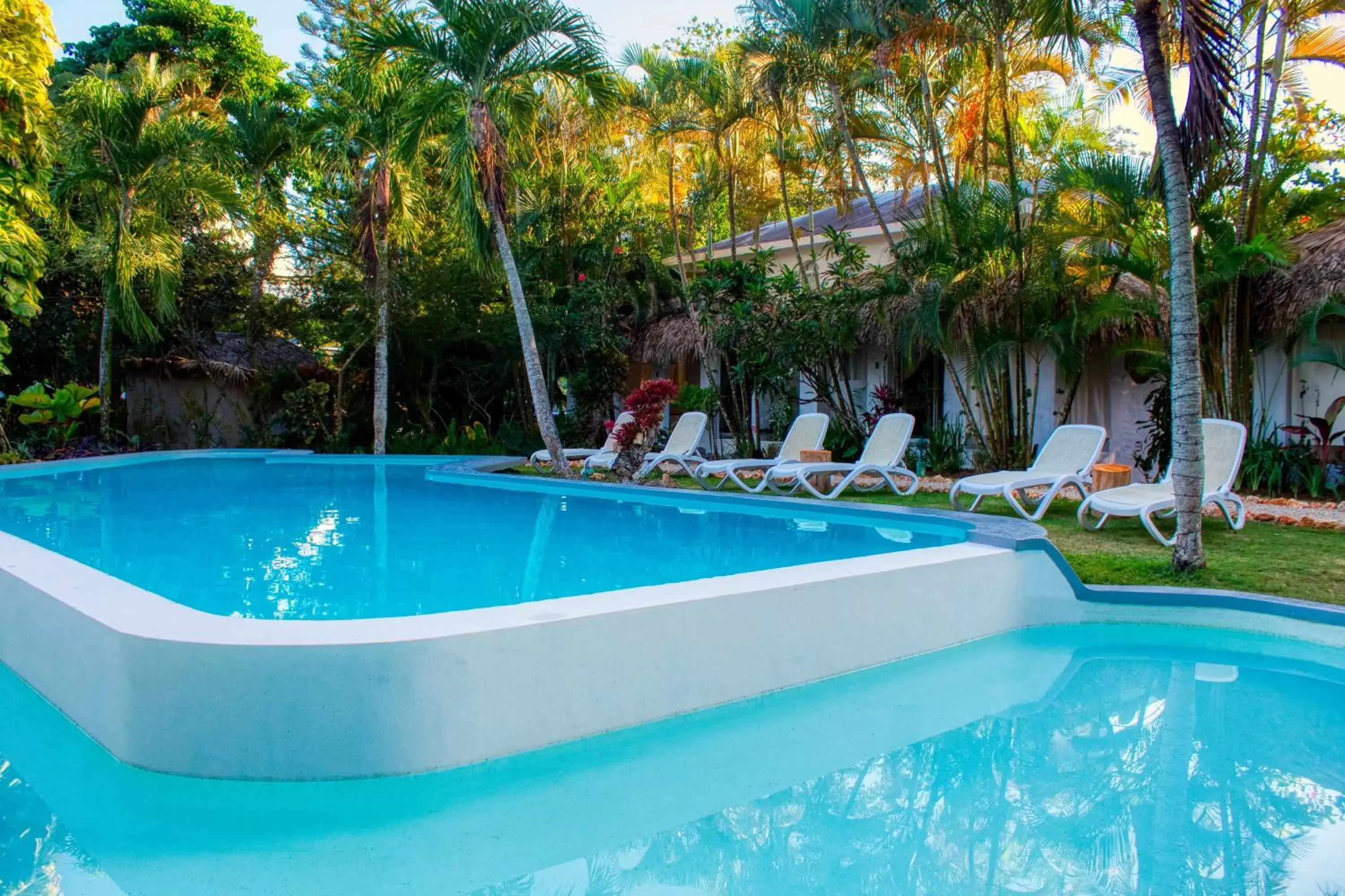 Pool view, Swimming Pool in Hotel La Tortuga