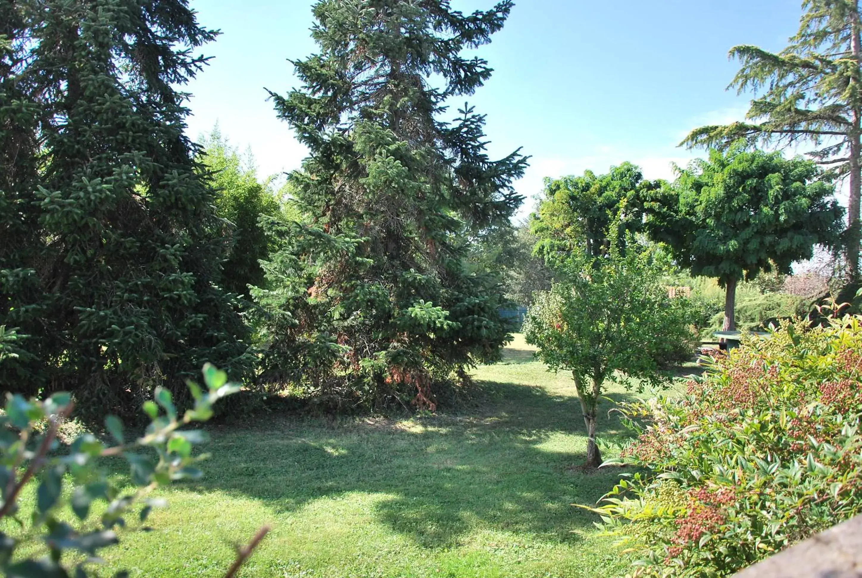Garden in Hôtel Le Barry, Toulouse Nord