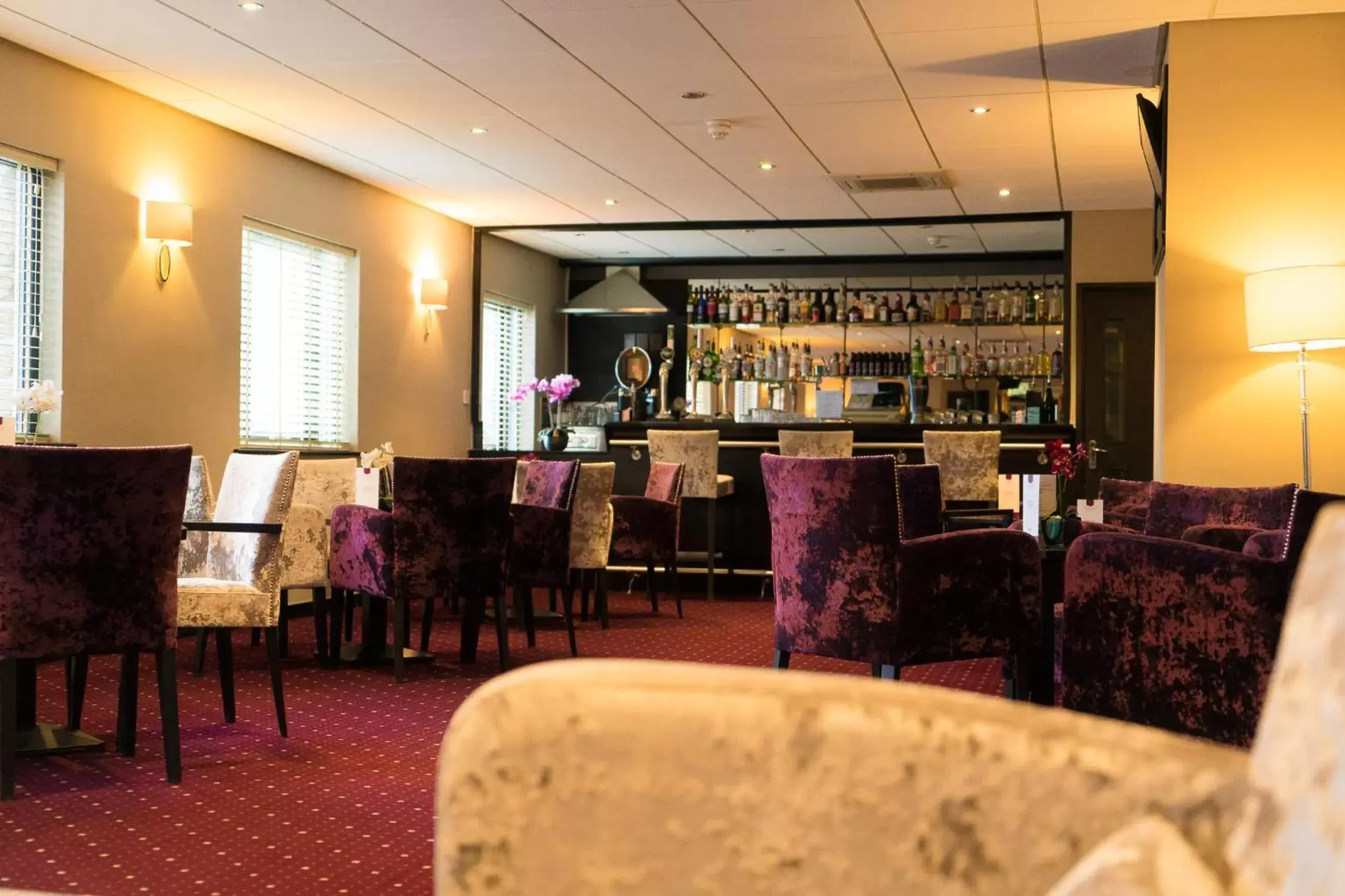 Lounge or bar, Restaurant/Places to Eat in The Briar Court Hotel