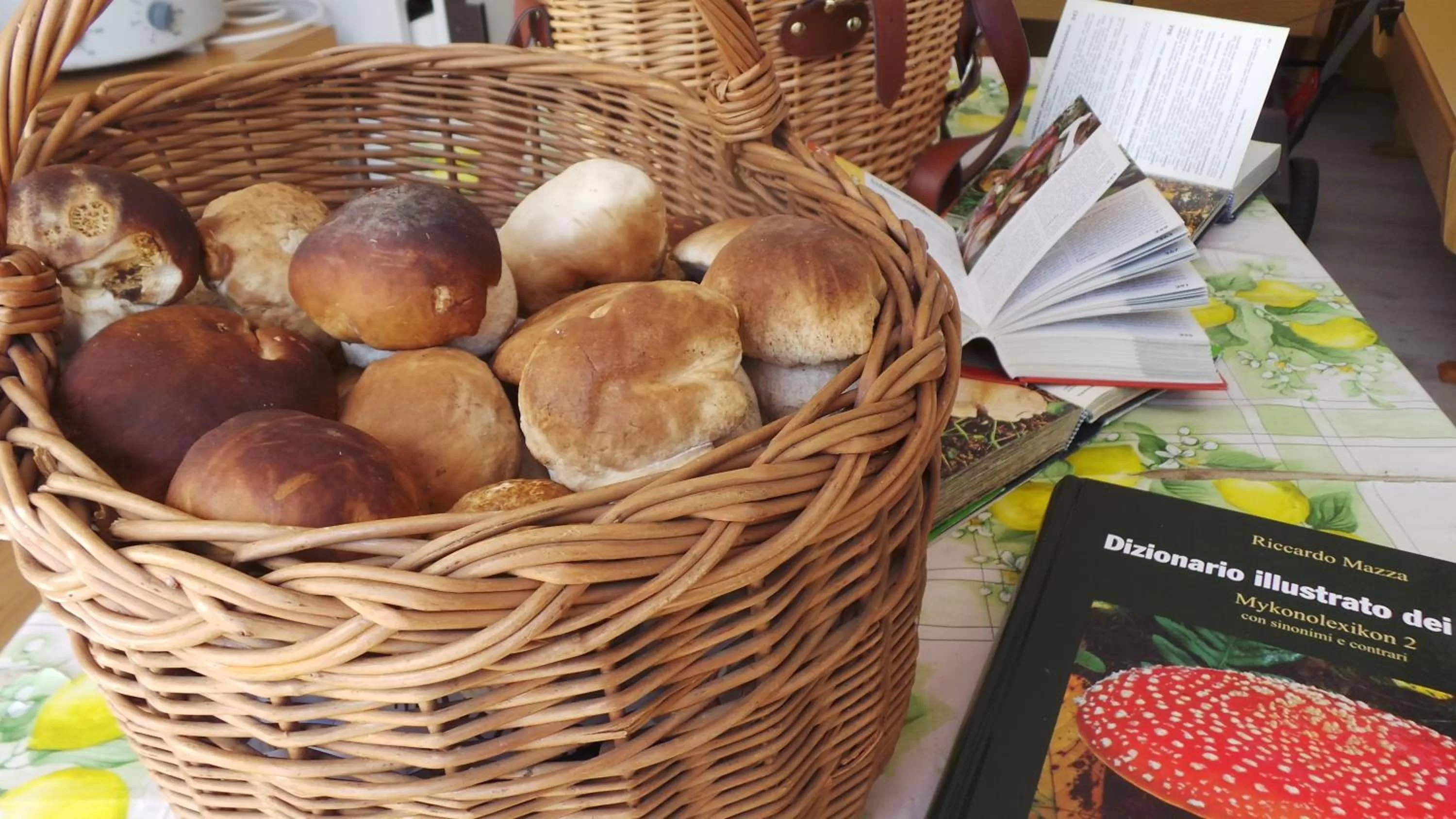 Activities in Albergo Antico