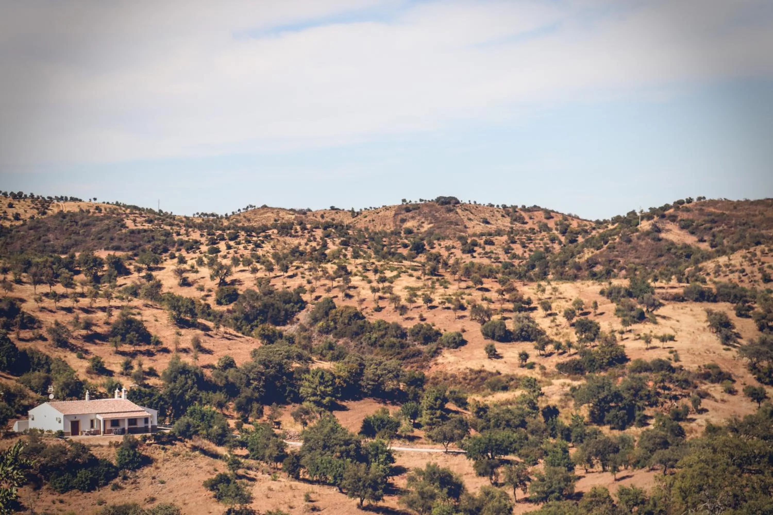 Natural landscape in Herdade Da Corte