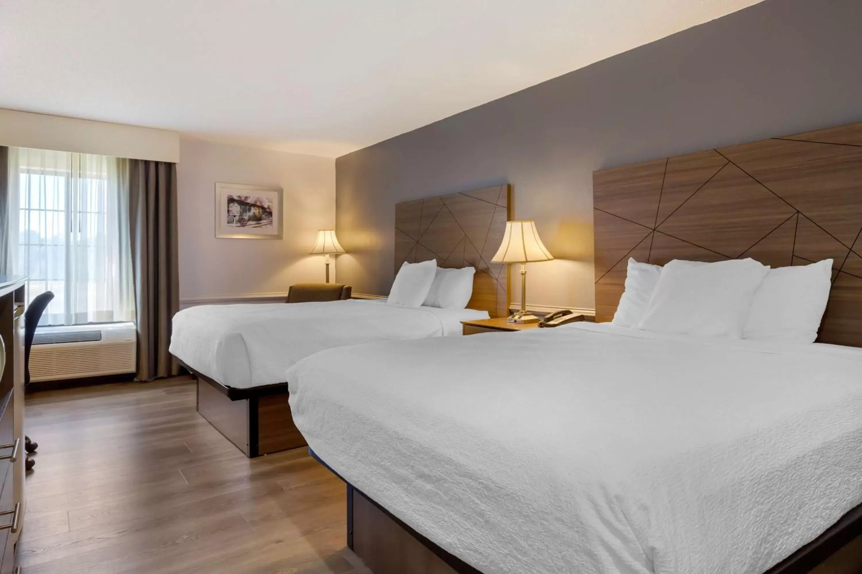 Bed in Best Western Plus South Hill Inn Bed in Best Western Plus South Hill Inn