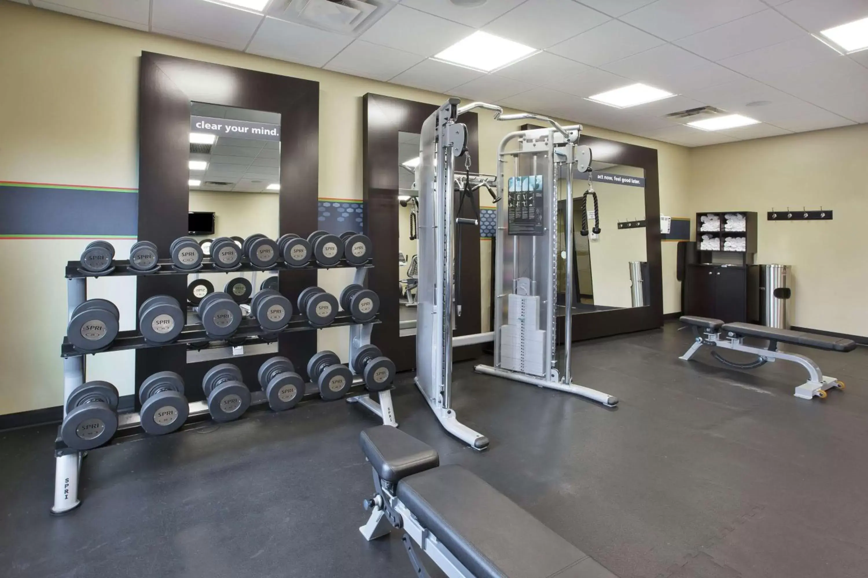 Fitness centre/facilities, Fitness Center/Facilities in Hampton Inn Brockport