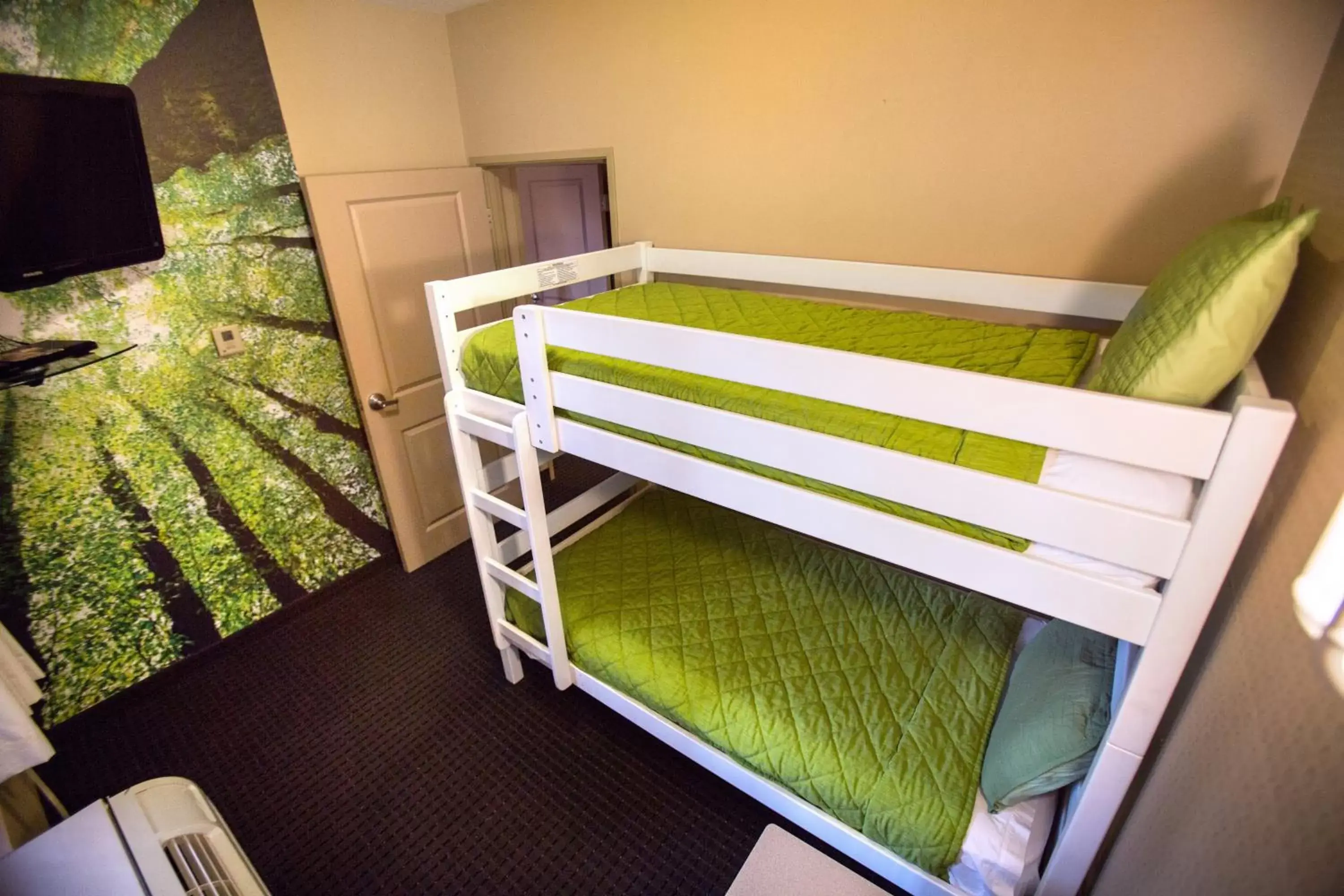 Bedroom, Bunk Bed in Holiday Inn St. Paul Northeast - Lake Elmo, an IHG Hotel