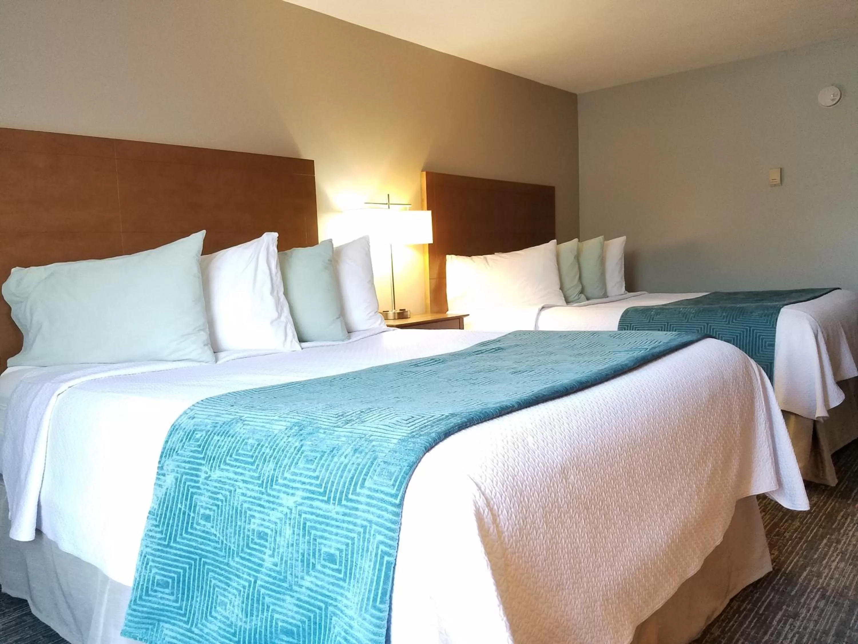 Bed in Hampton Village Inn